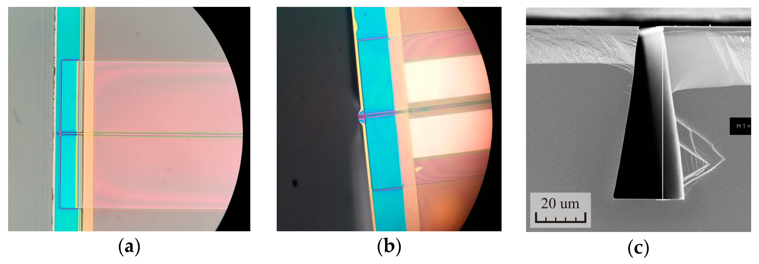 Symmetry 12 02015 g007