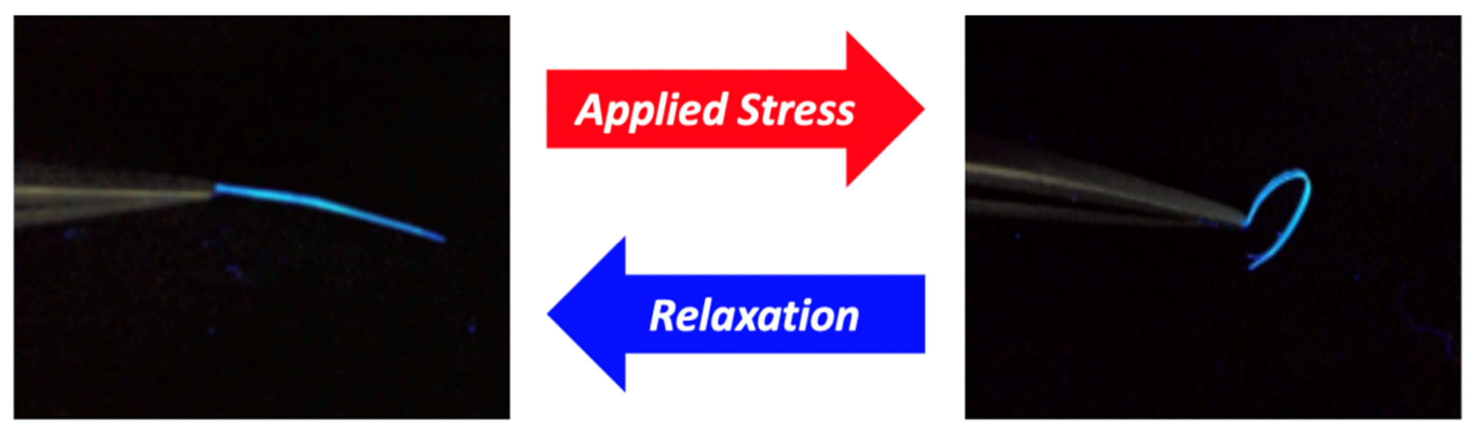 Symmetry 12 02022 g005