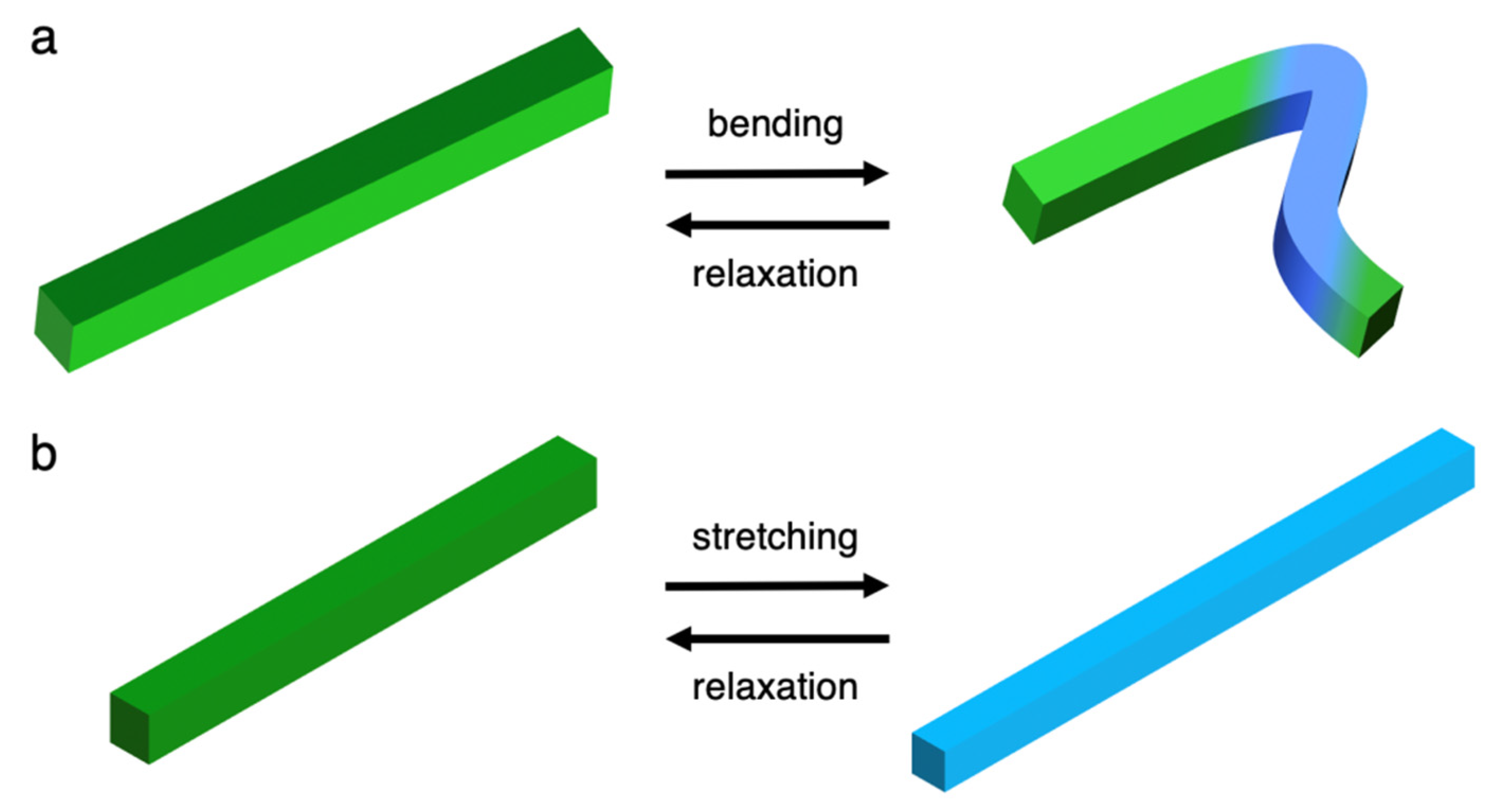 Symmetry 12 02022 g012