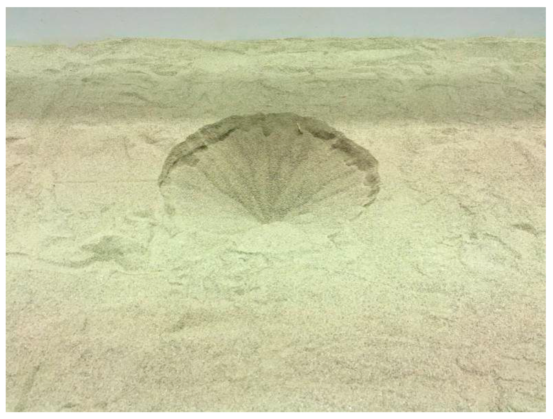 Symmetry 12 02067 g013