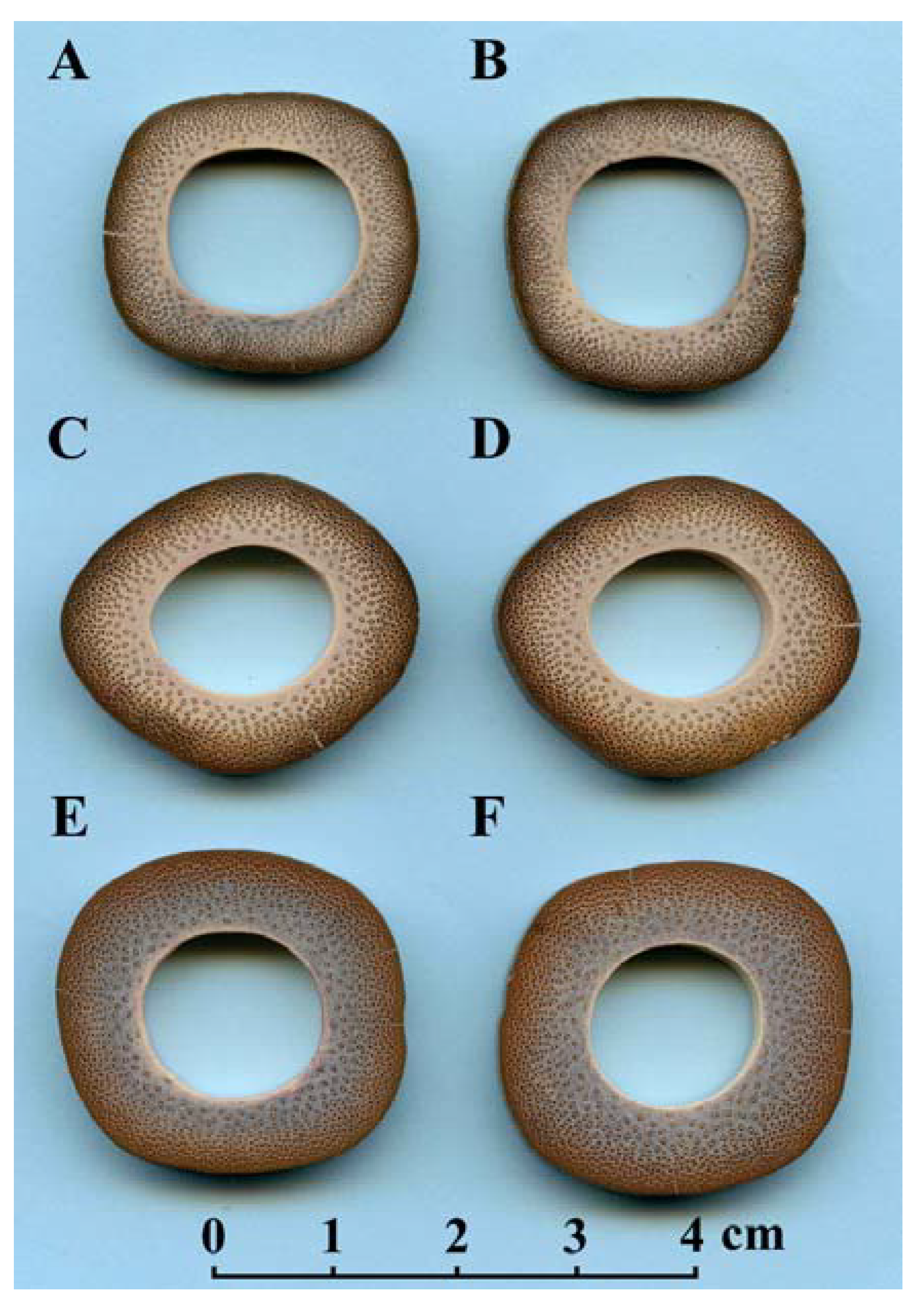 Symmetry 12 02073 g002