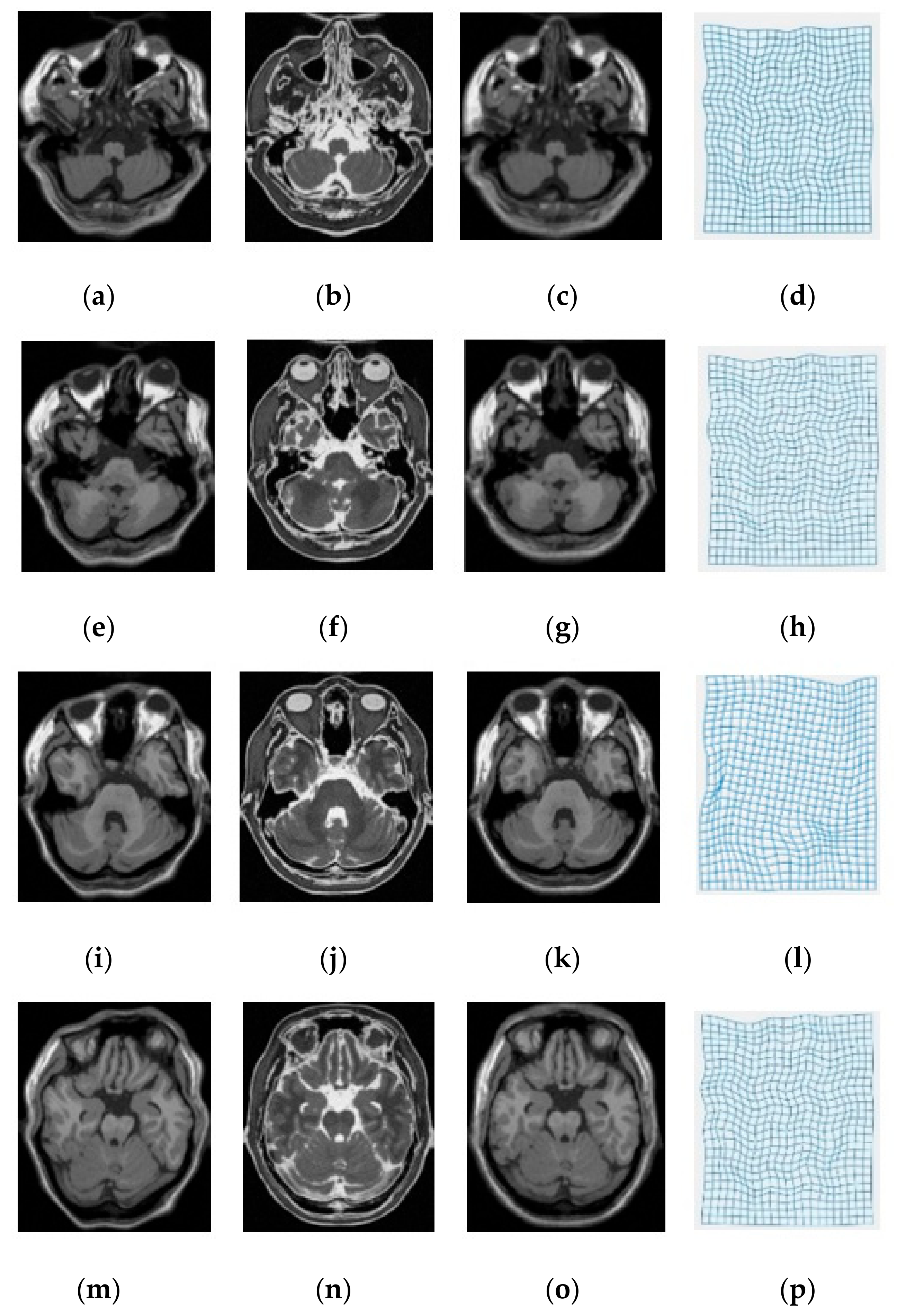 Symmetry 12 02078 g005 Symmetry 12 02078 g005
