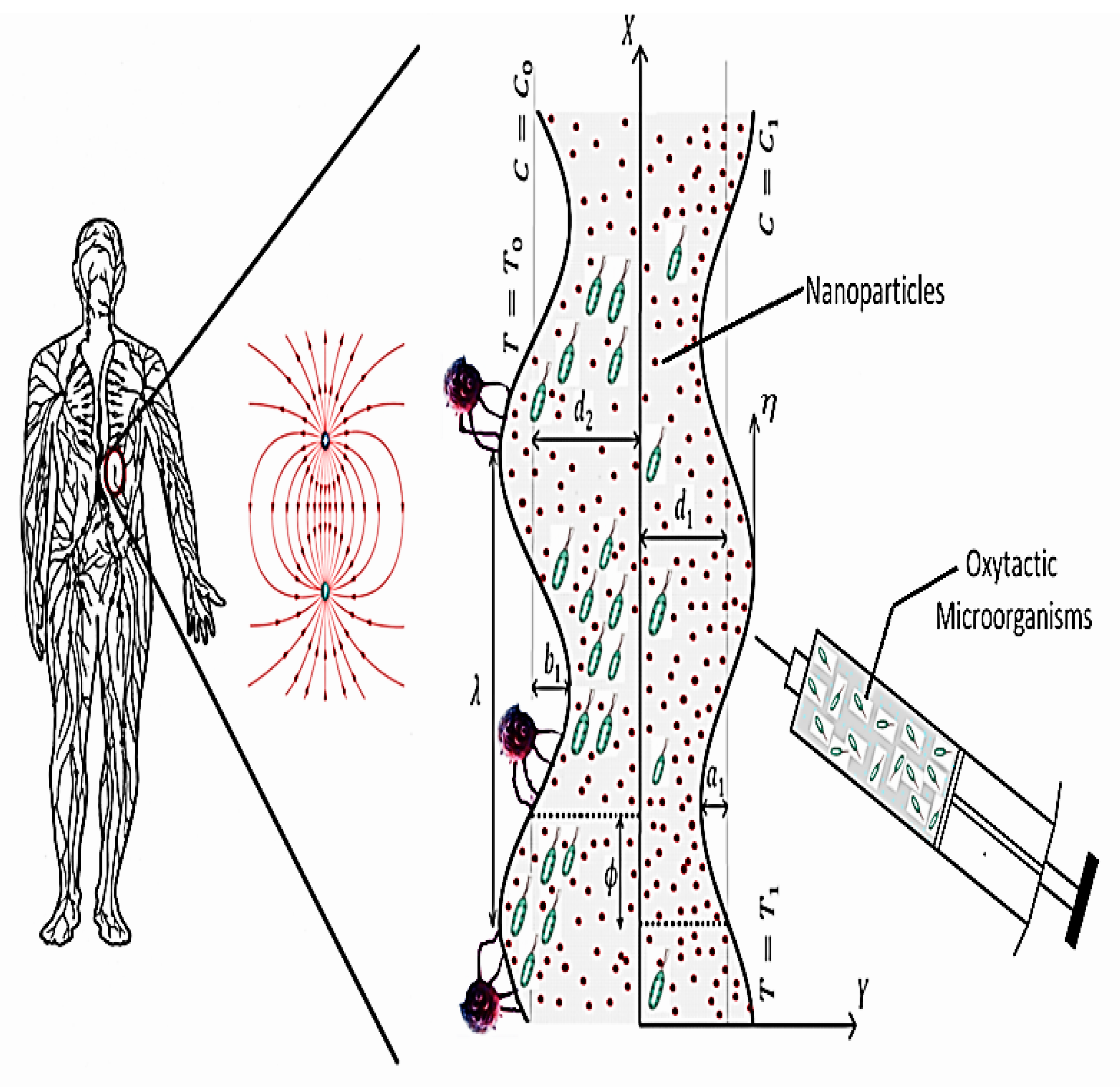 Symmetry 12 02114 g001