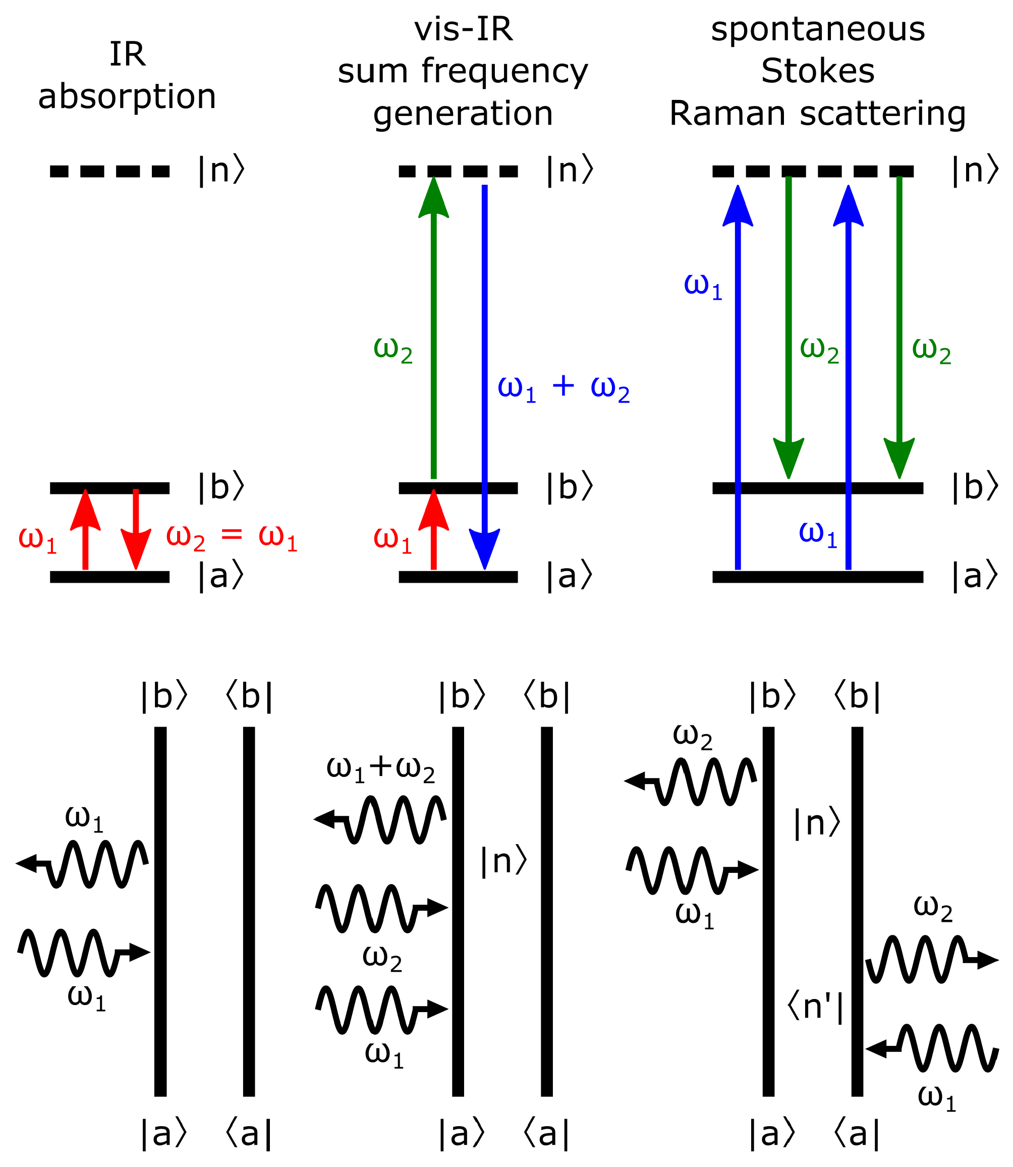 Assessing the Molecular Specificity and Orientation