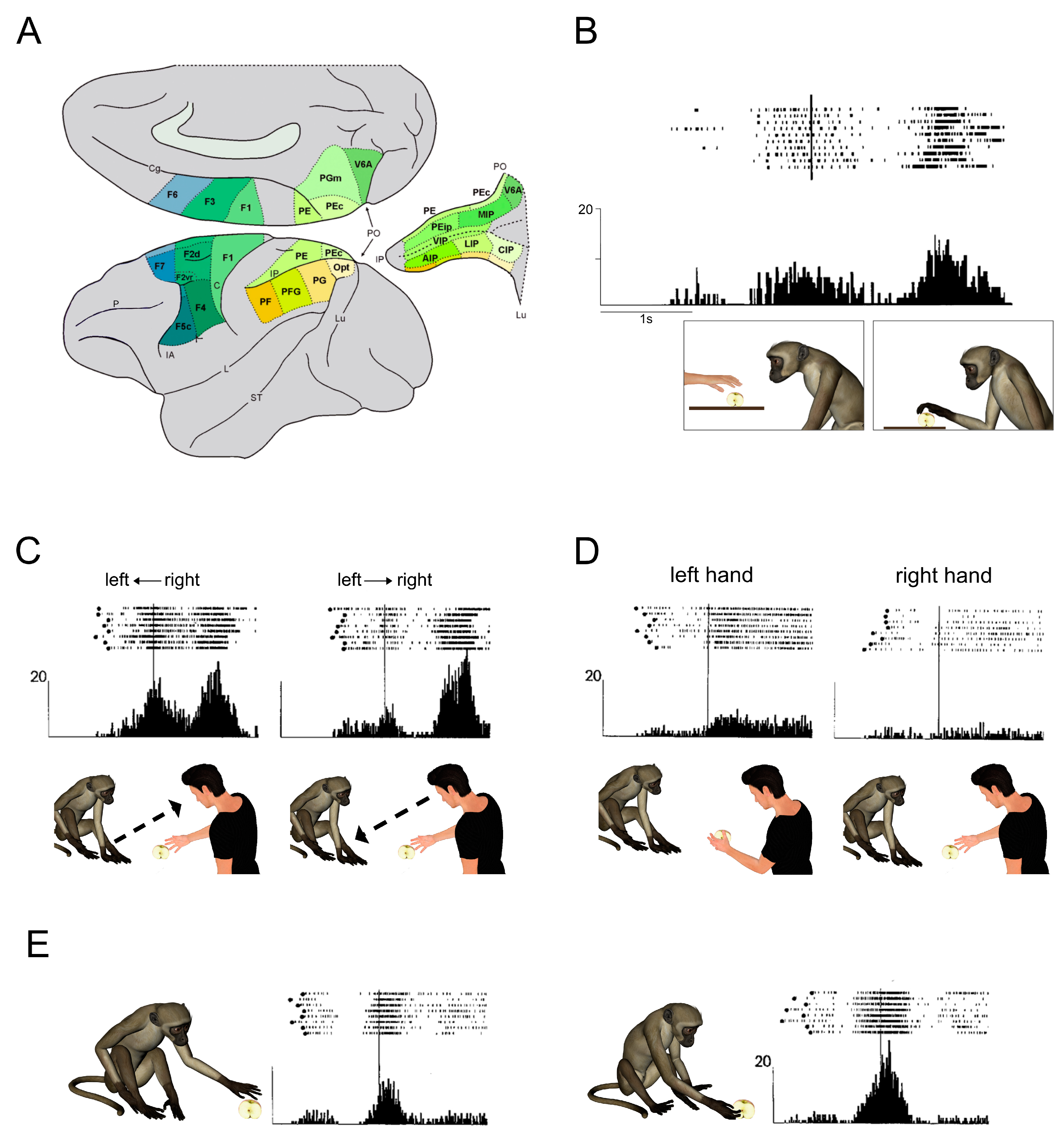 Symmetry 13 00077 g001