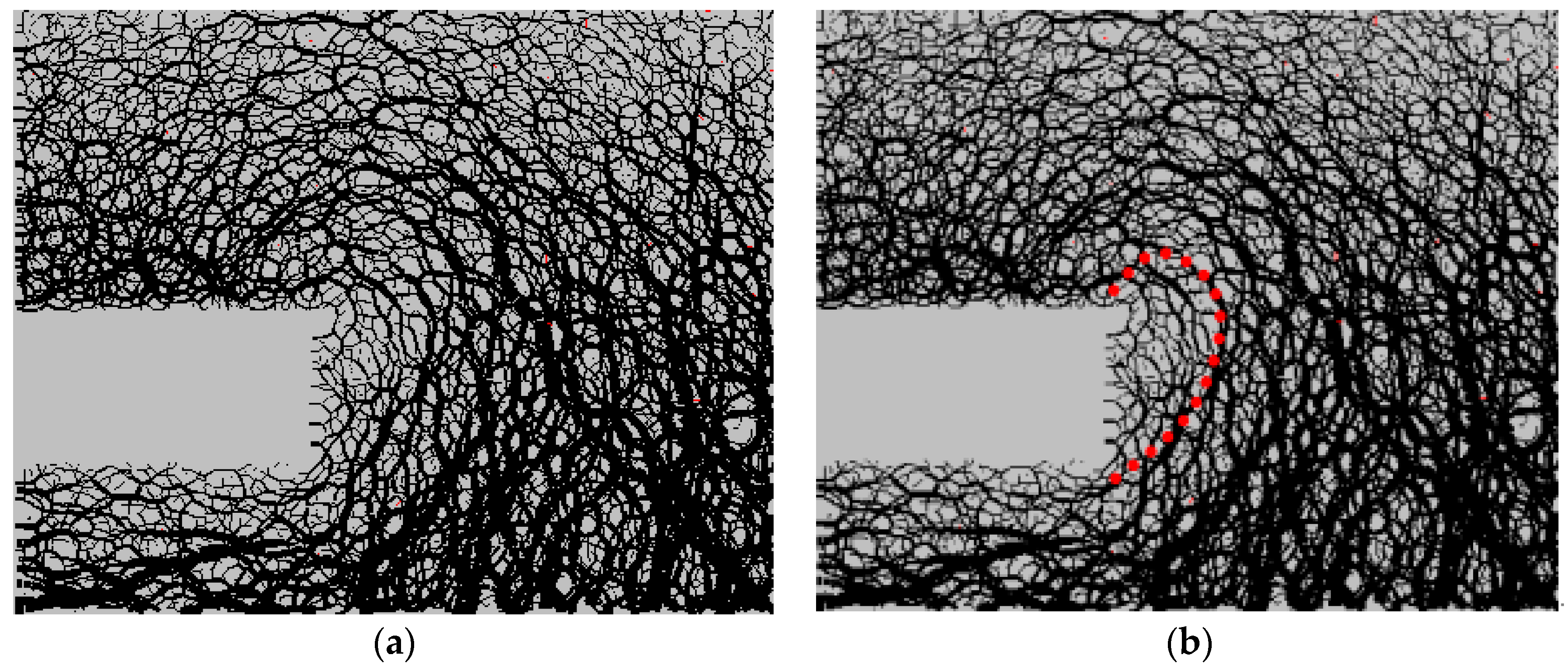 Symmetry 13 00094 g009
