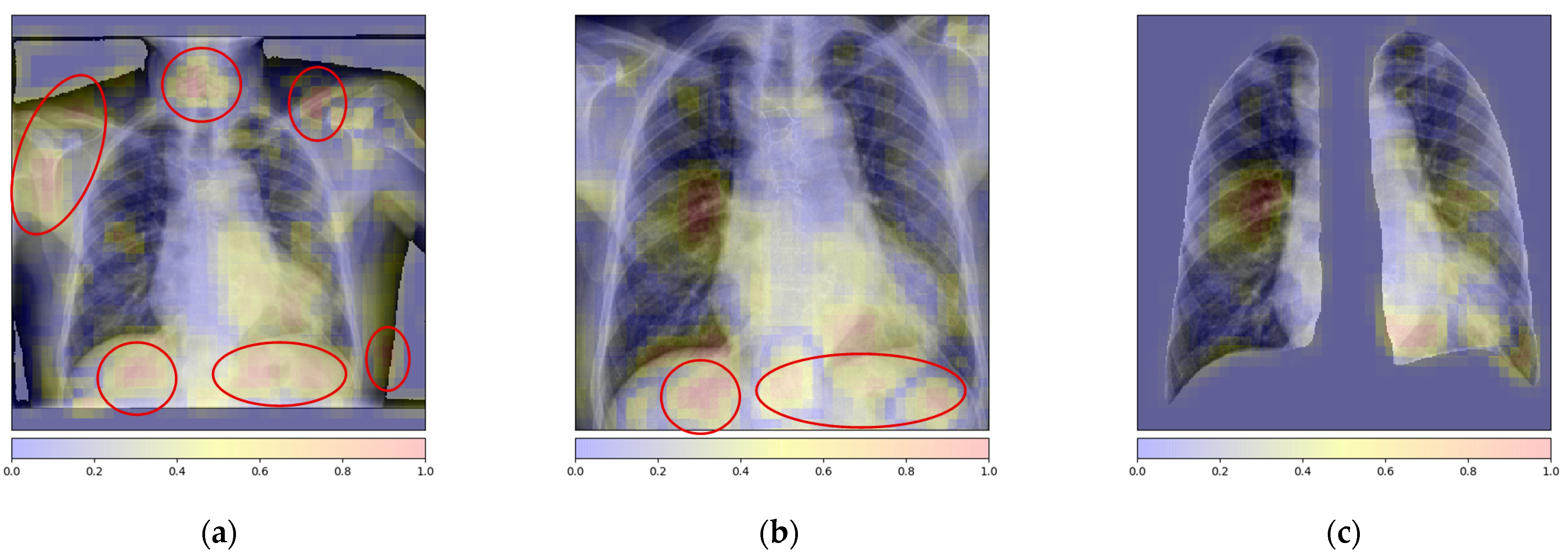Symmetry 13 00113 g002