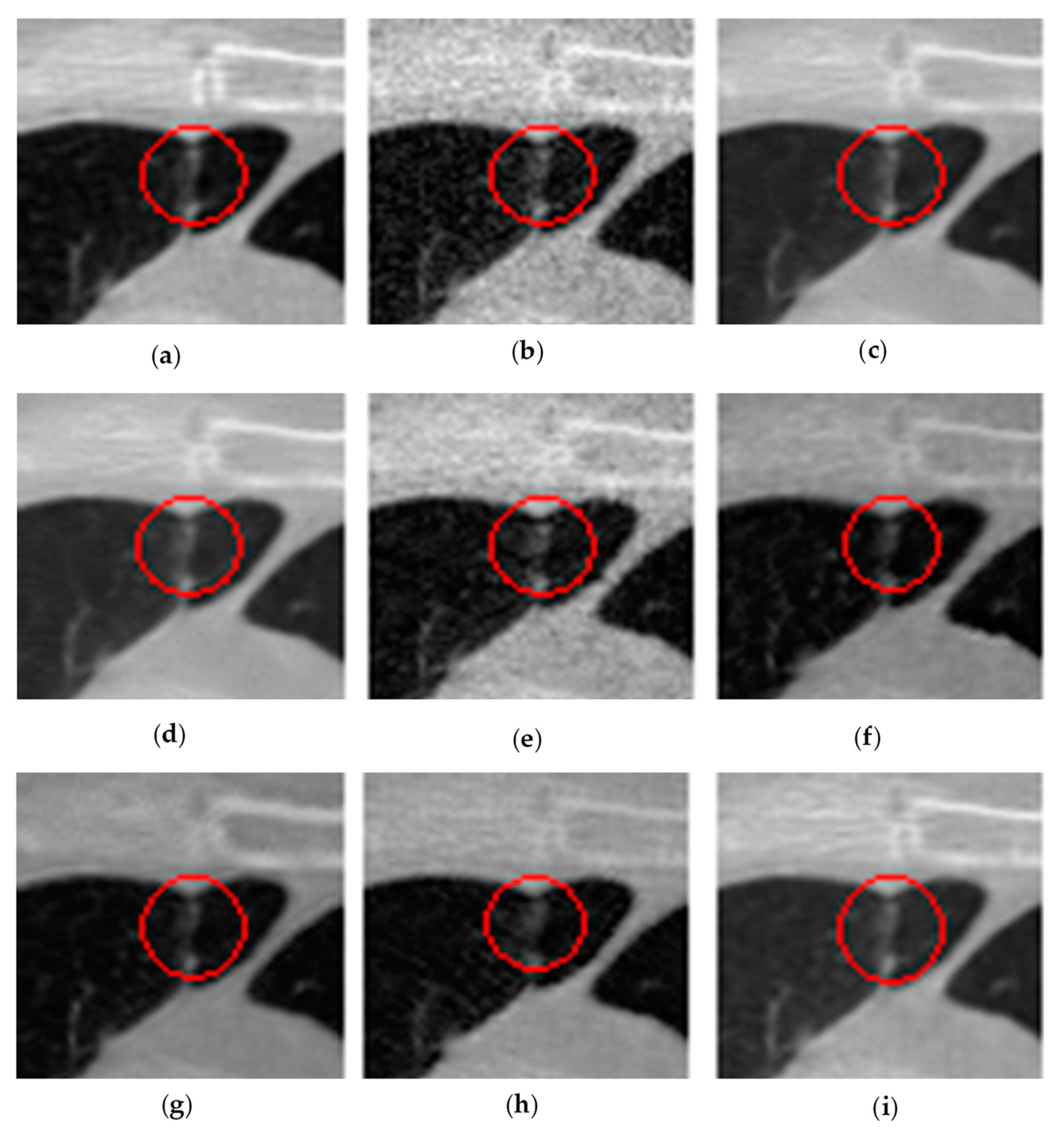 Symmetry 13 00126 g009 Symmetry 13 00126 g009