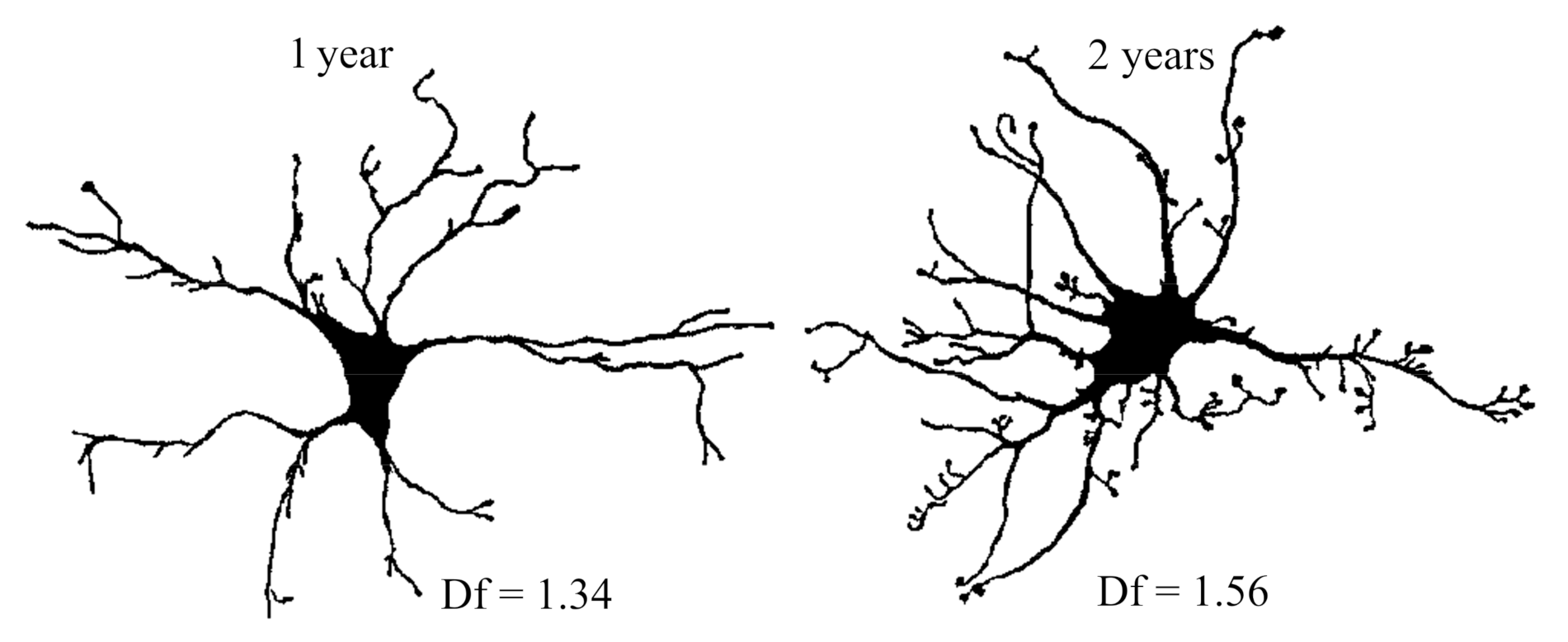 Symmetry 13 00160 g004