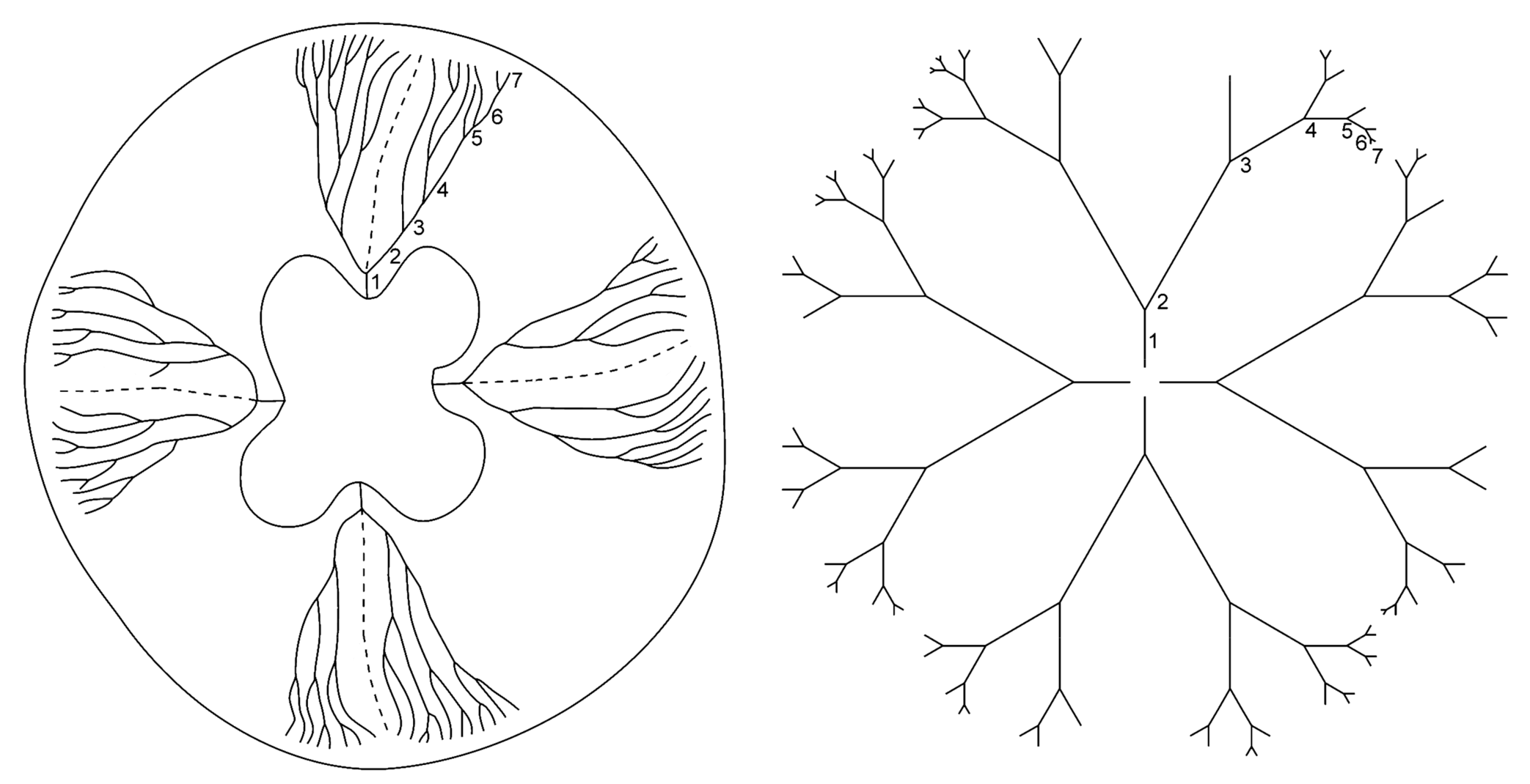 Symmetry 13 00160 g006