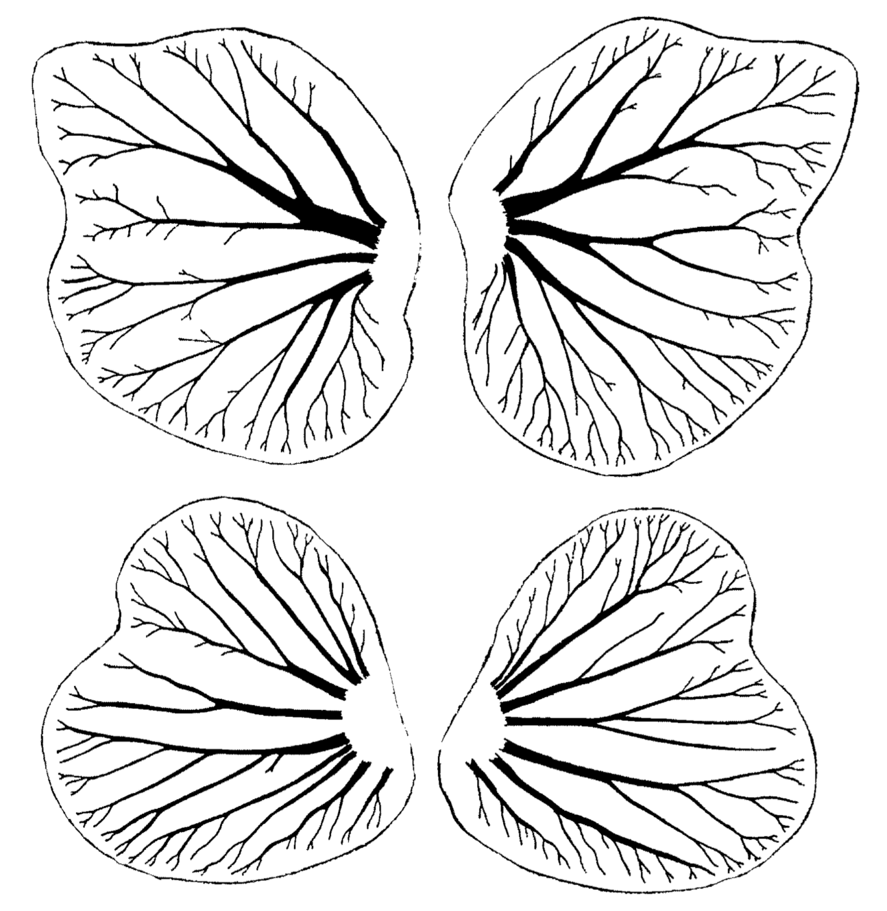 Symmetry 13 00160 g007