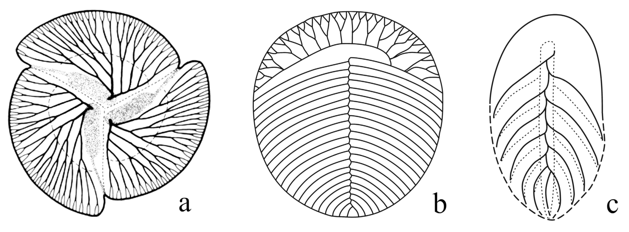 Symmetry 13 00160 g008