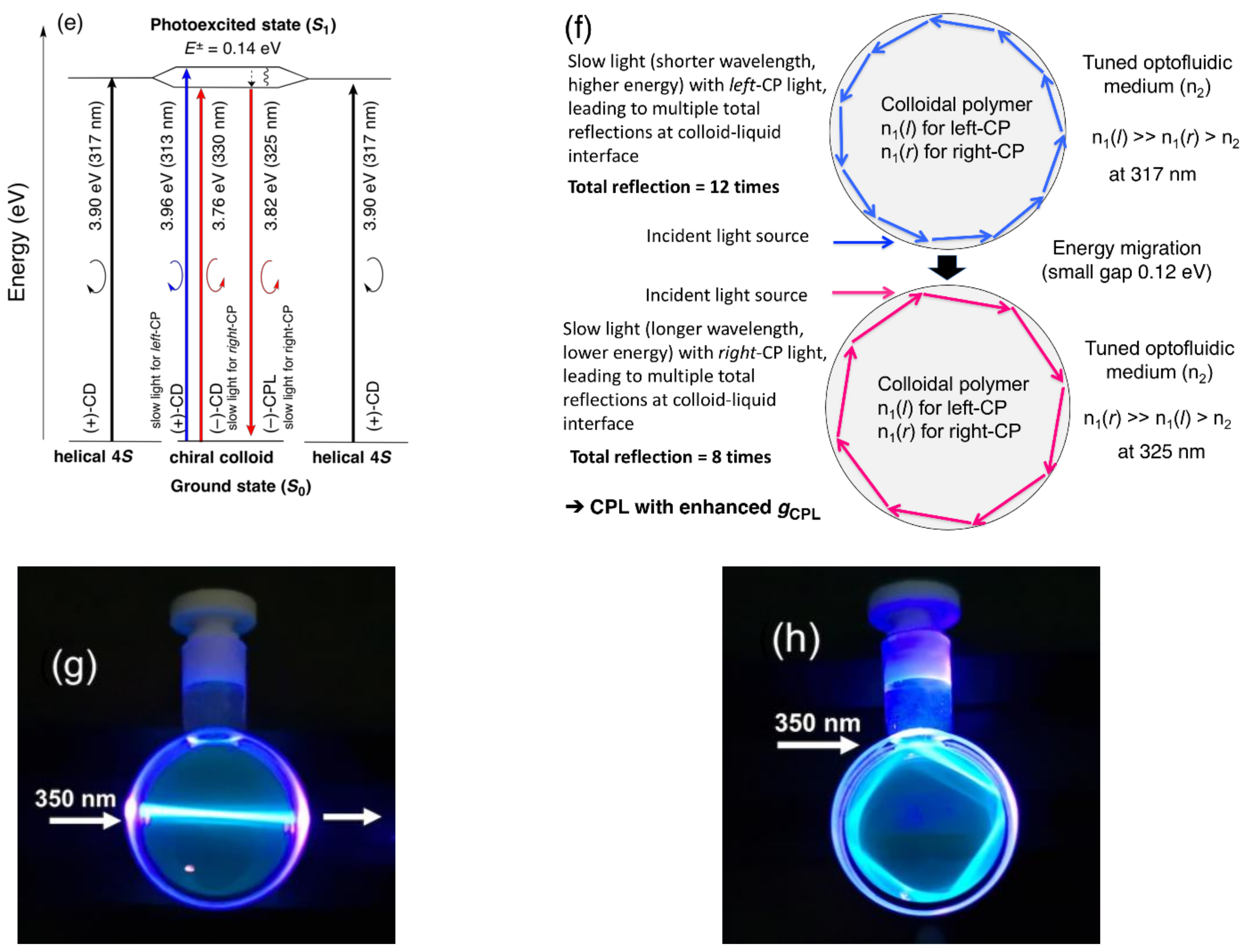Symmetry 13 00199 g003b