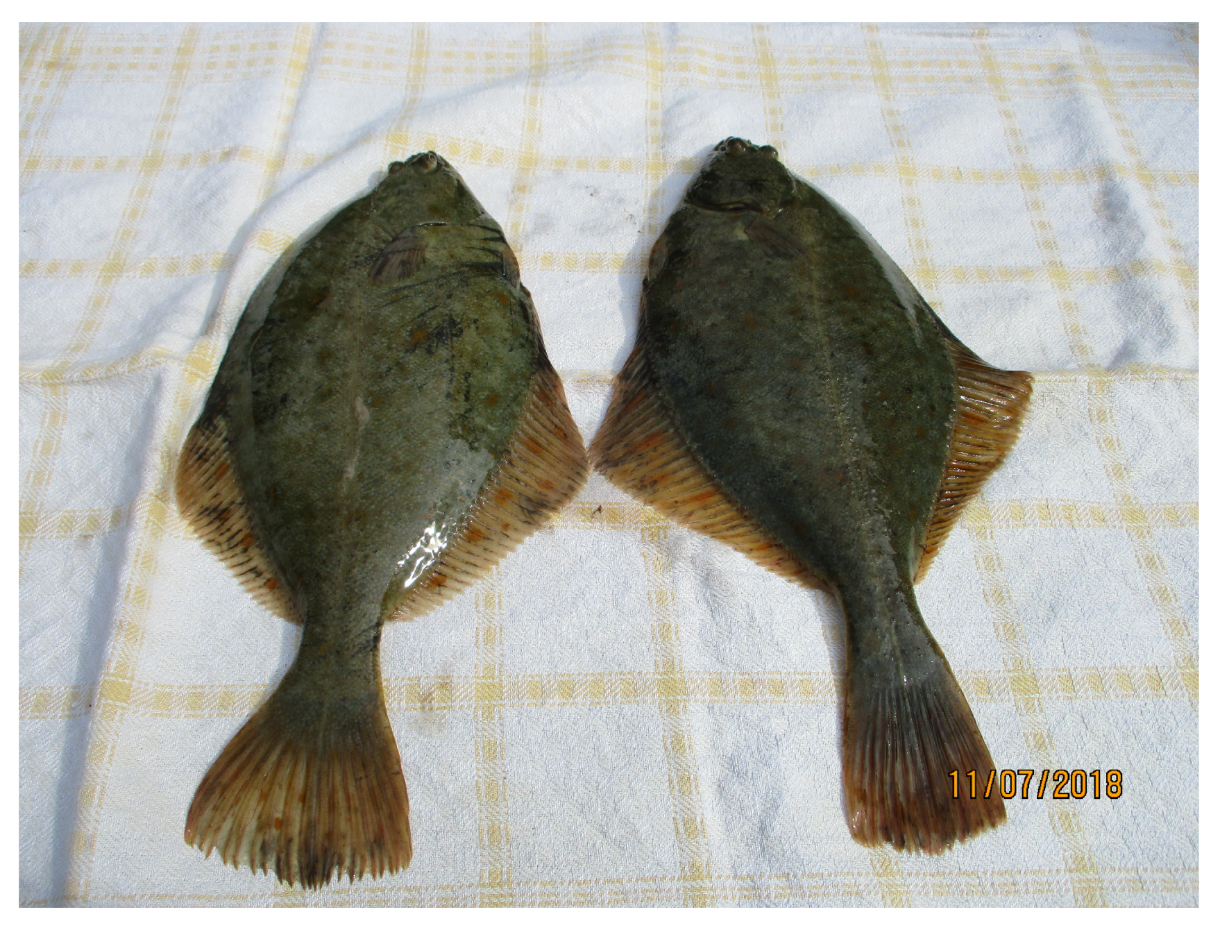 Symmetry 13 00261 g002 Symmetry 13 00261 g002