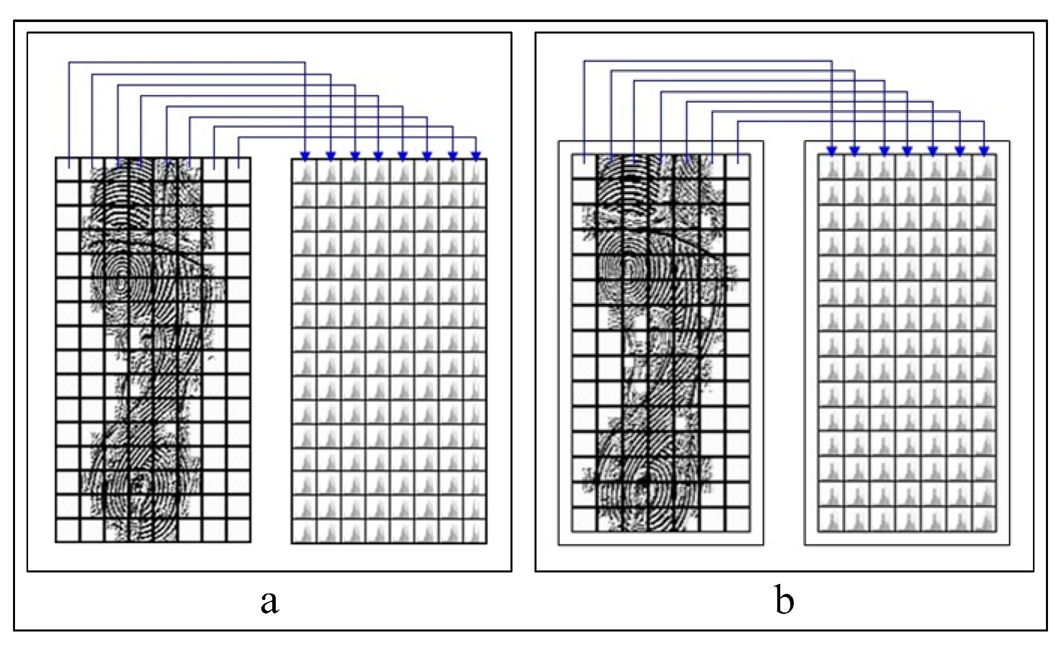 Symmetry 13 00296 g007