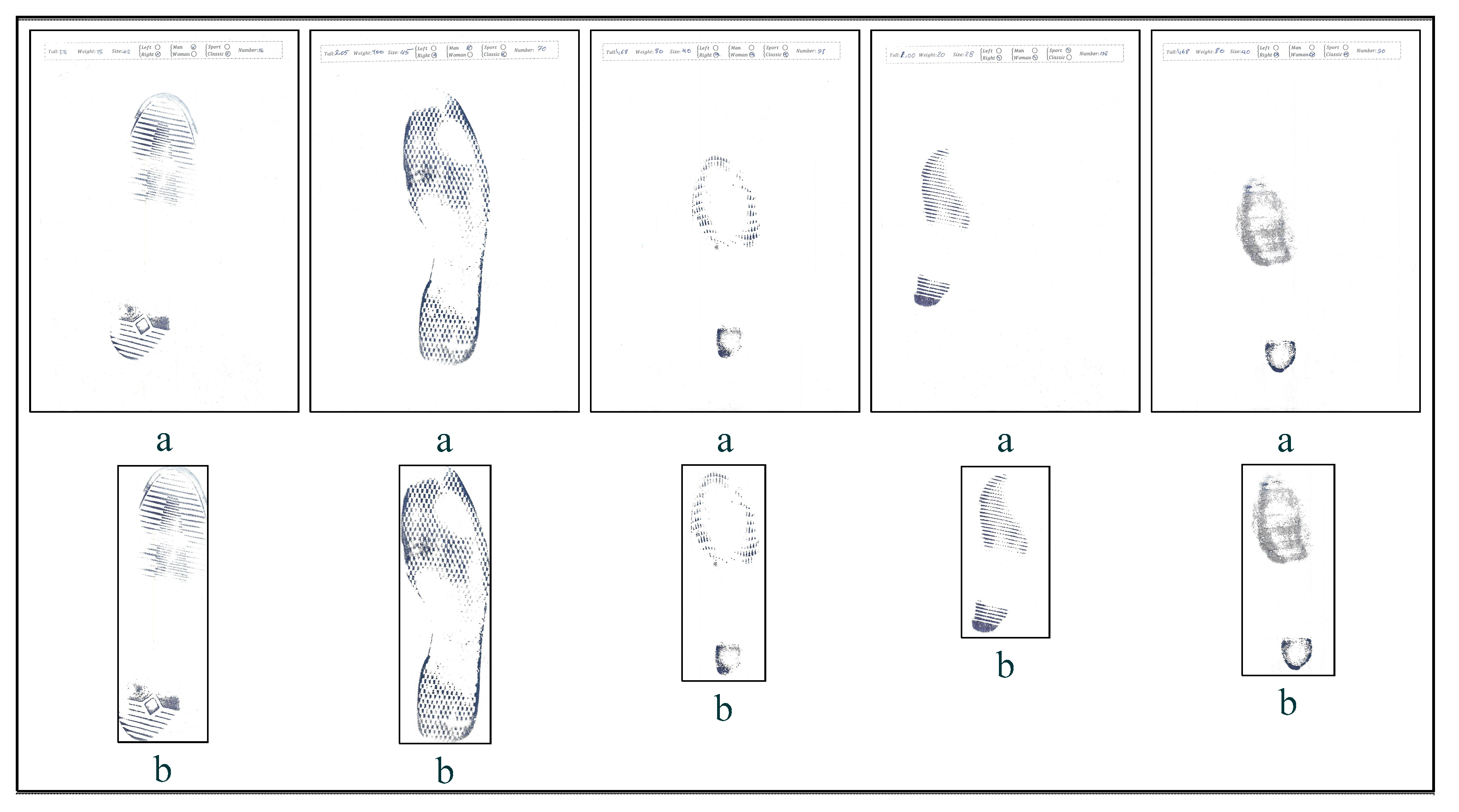 Symmetry 13 00296 g009