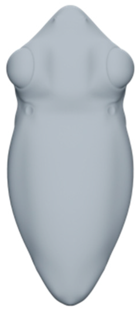 Symmetry 13 00338 g002