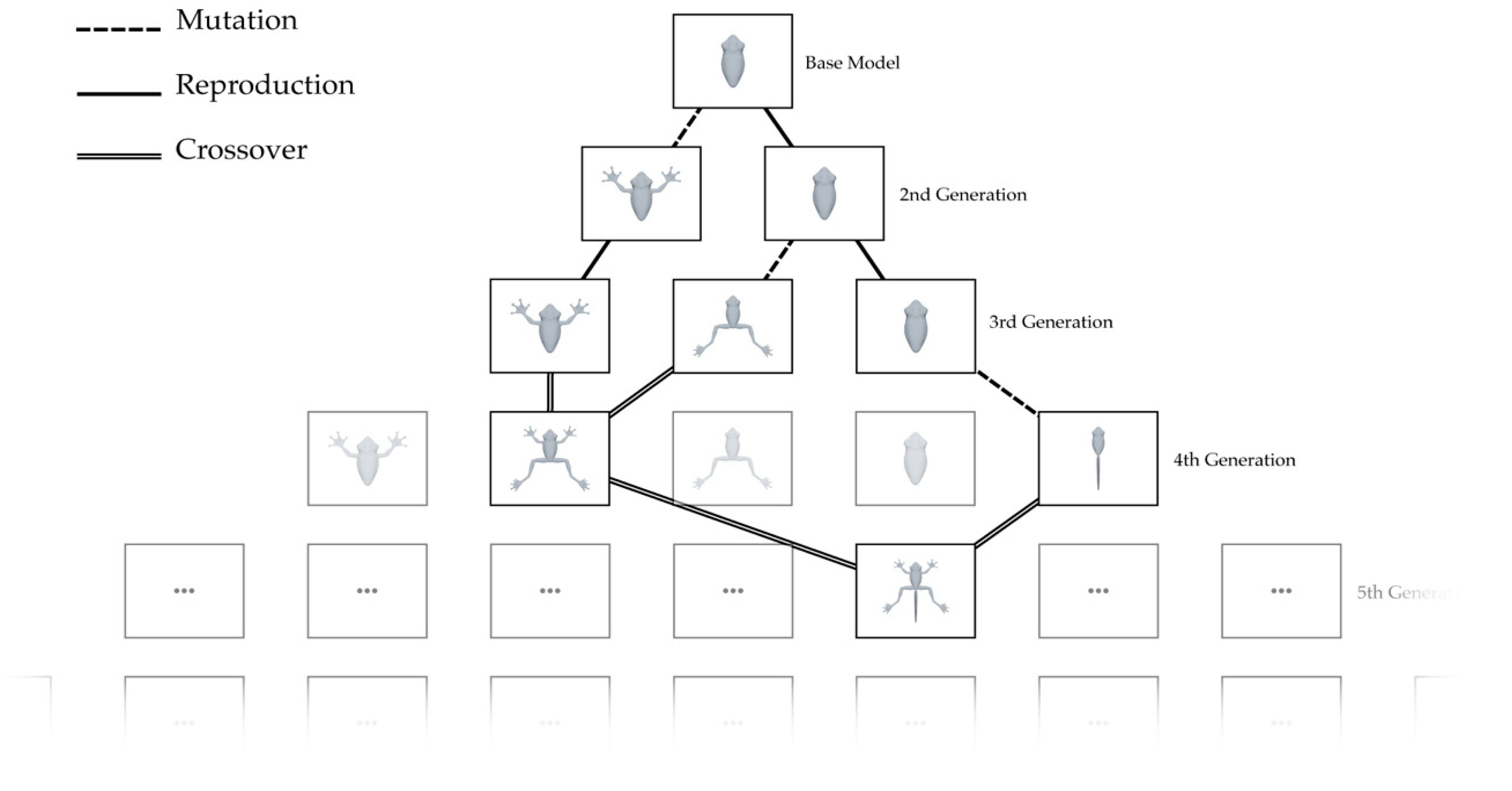 Symmetry 13 00338 g003