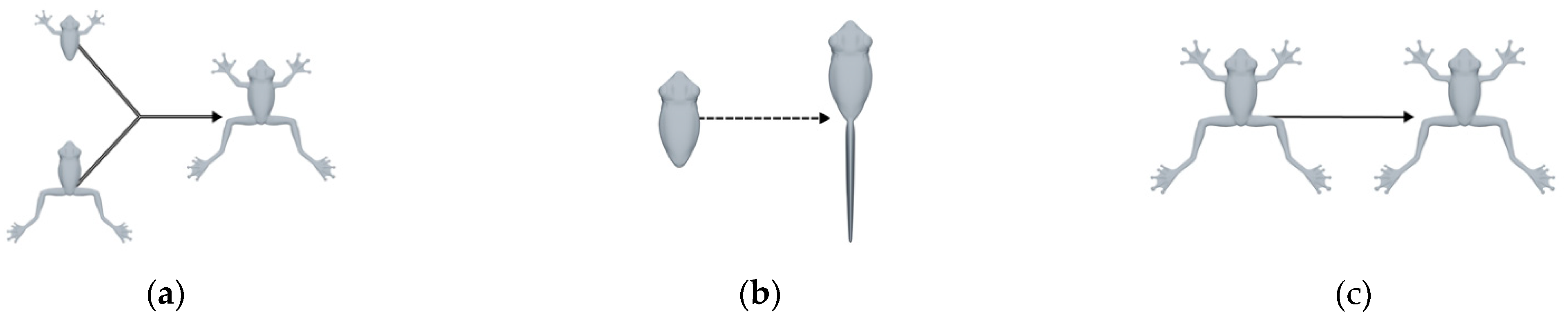 Symmetry 13 00338 g004