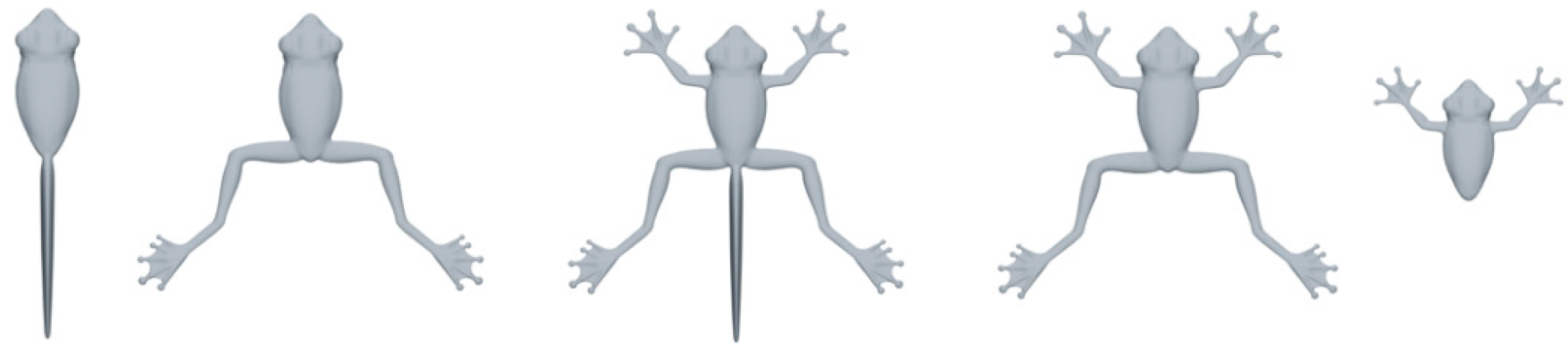 Symmetry 13 00338 g005