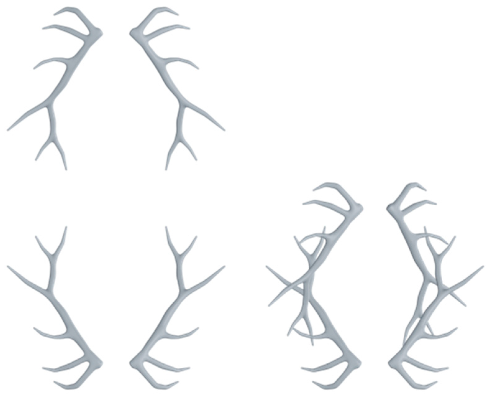 Symmetry 13 00338 g006