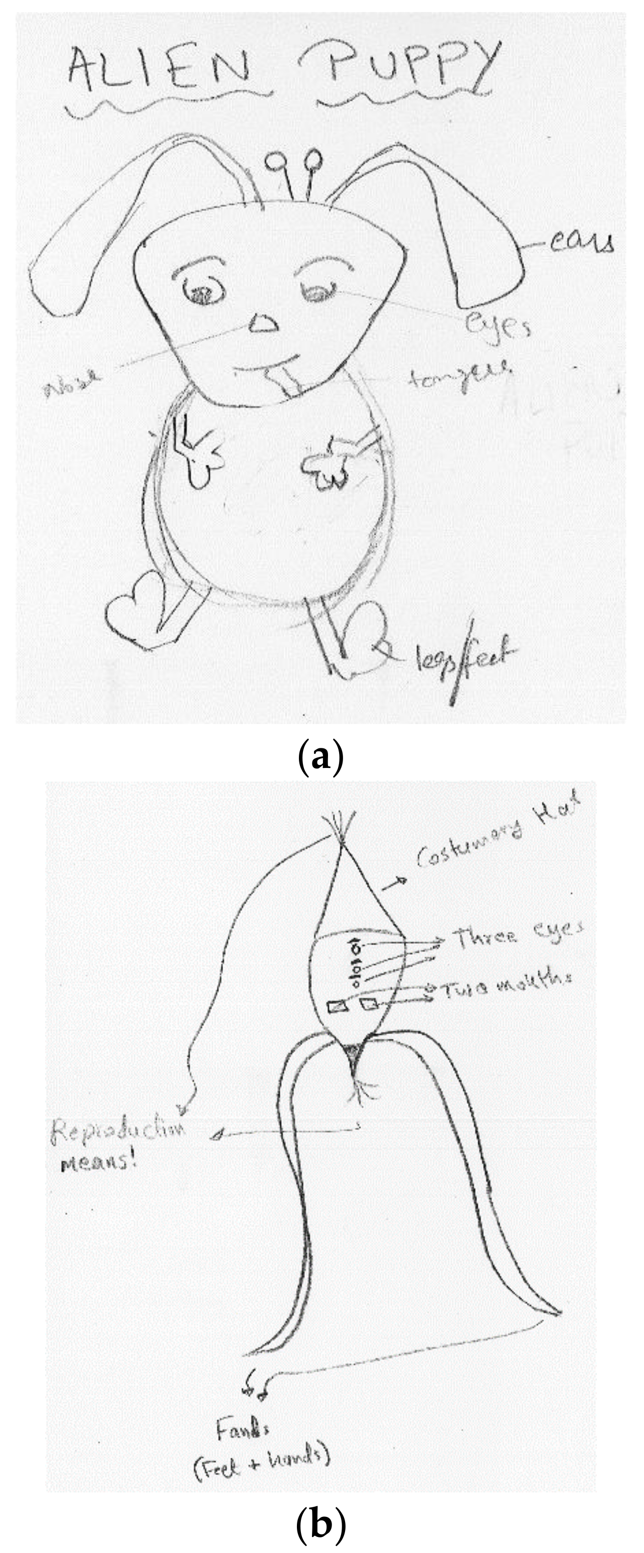 Symmetry 13 00343 g001