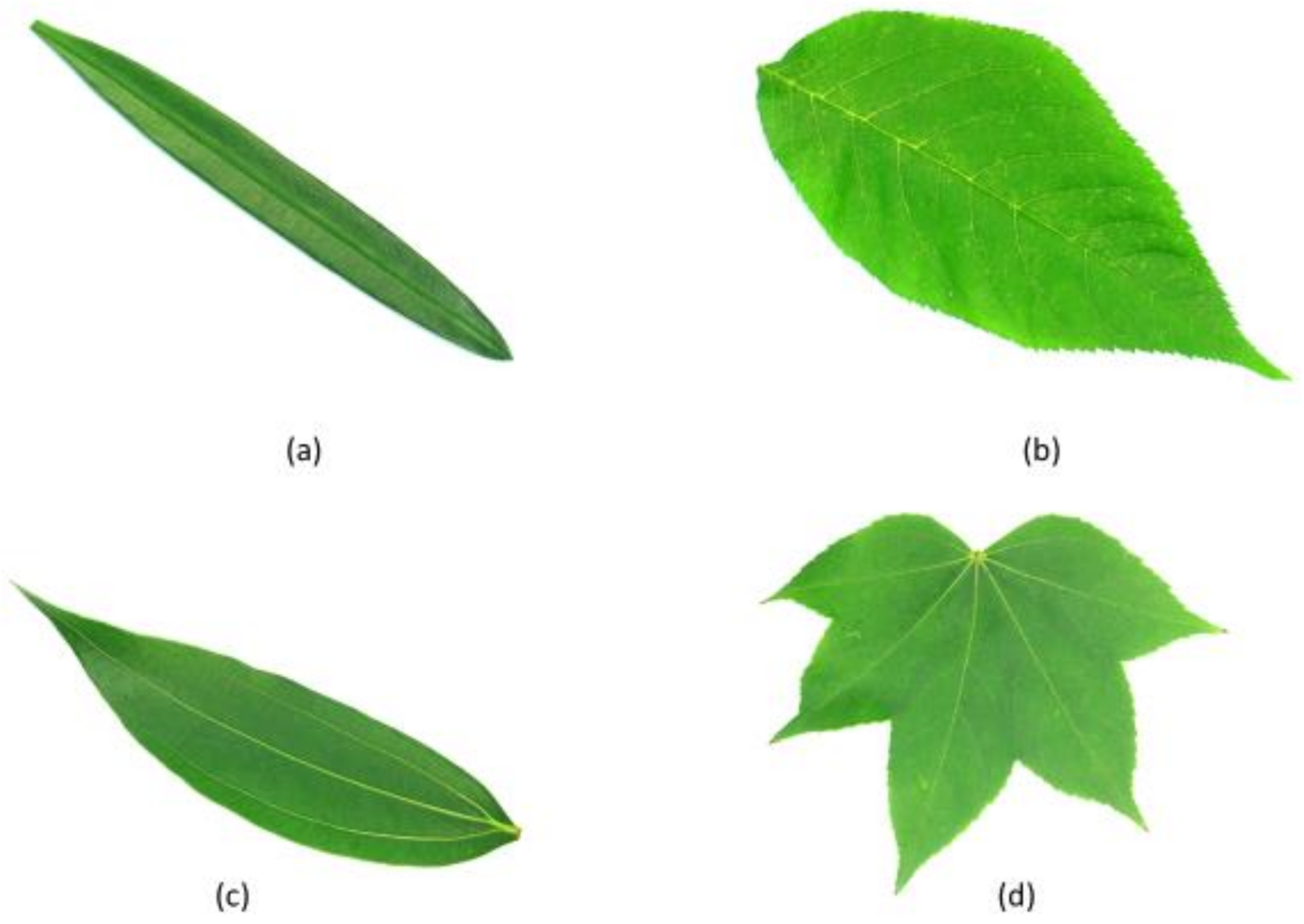 Symmetry 13 00356 g004