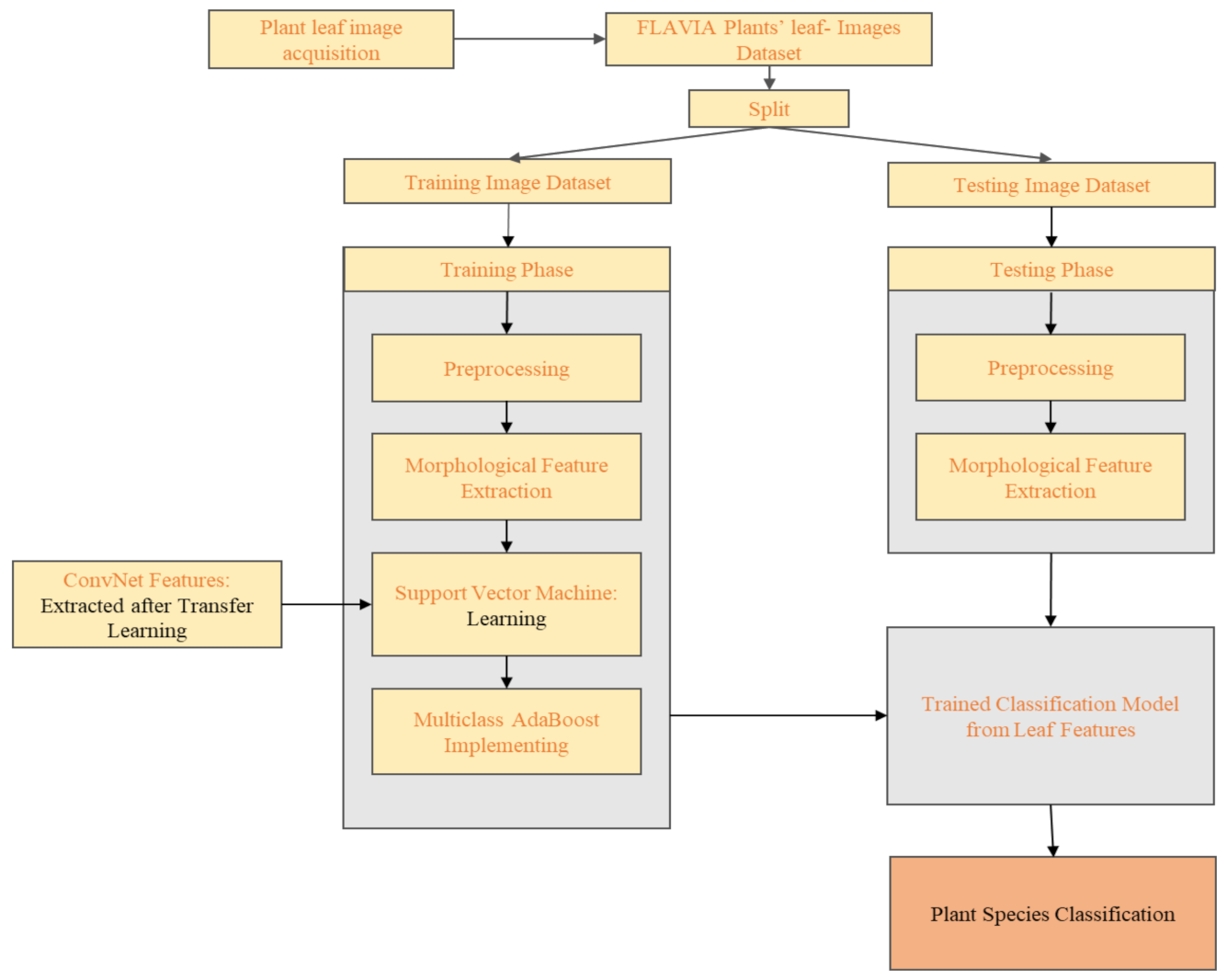 Plant Recognition Using Morphological Feature Extraction and Transfer ...