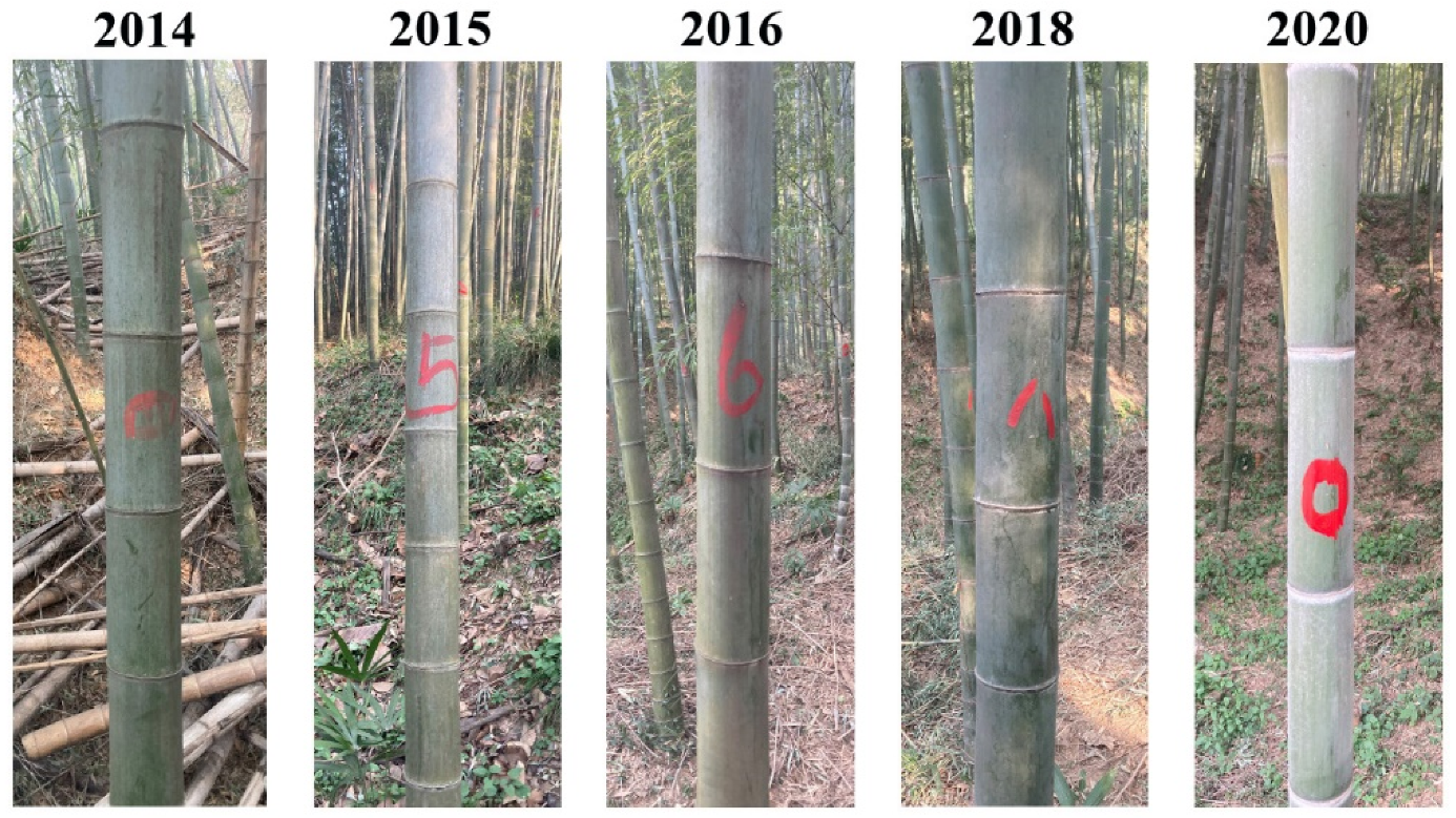 Symmetry 13 00369 g001 Symmetry 13 00369 g001