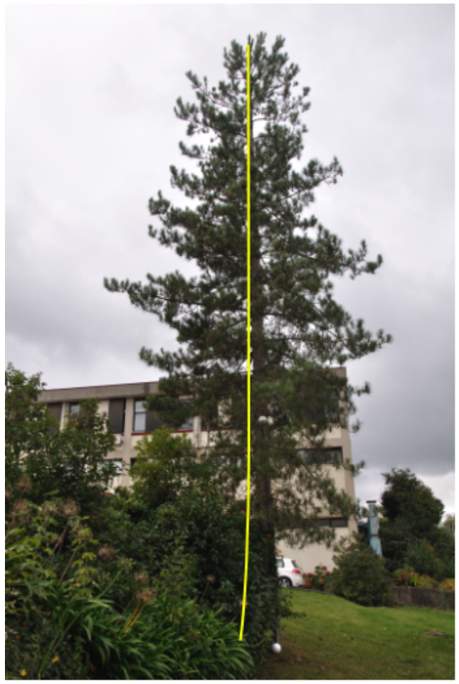 Symmetry 13 00374 g007