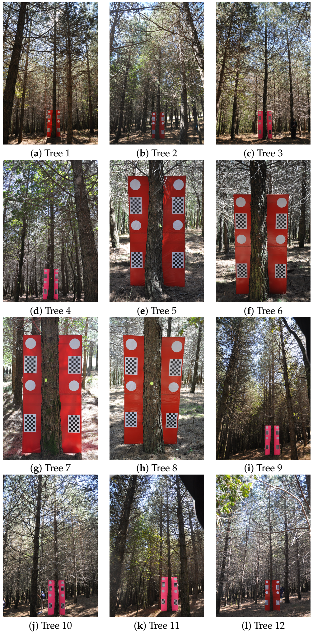 Symmetry 13 00374 g012