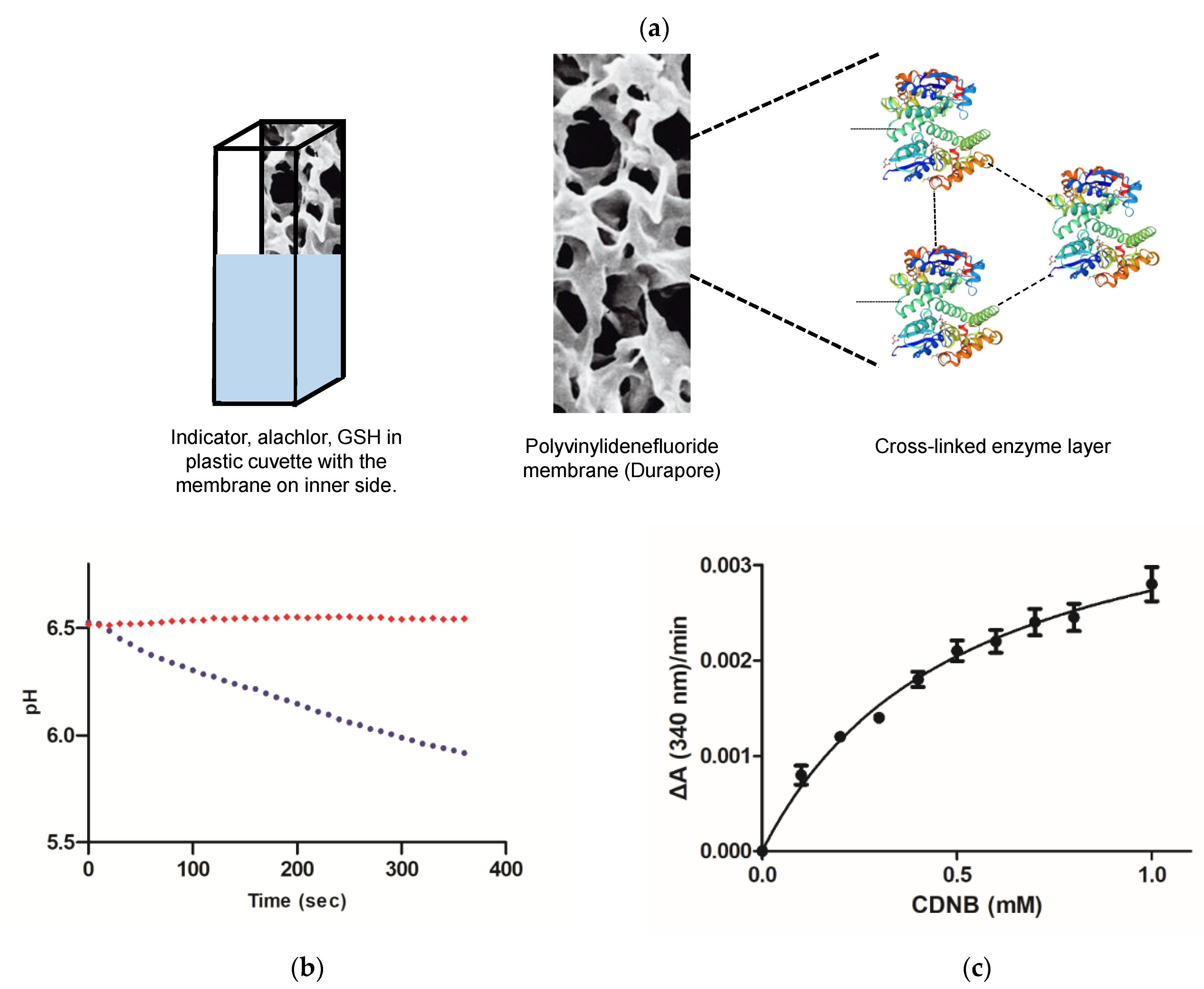 Symmetry 13 00461 g005 Symmetry 13 00461 g005