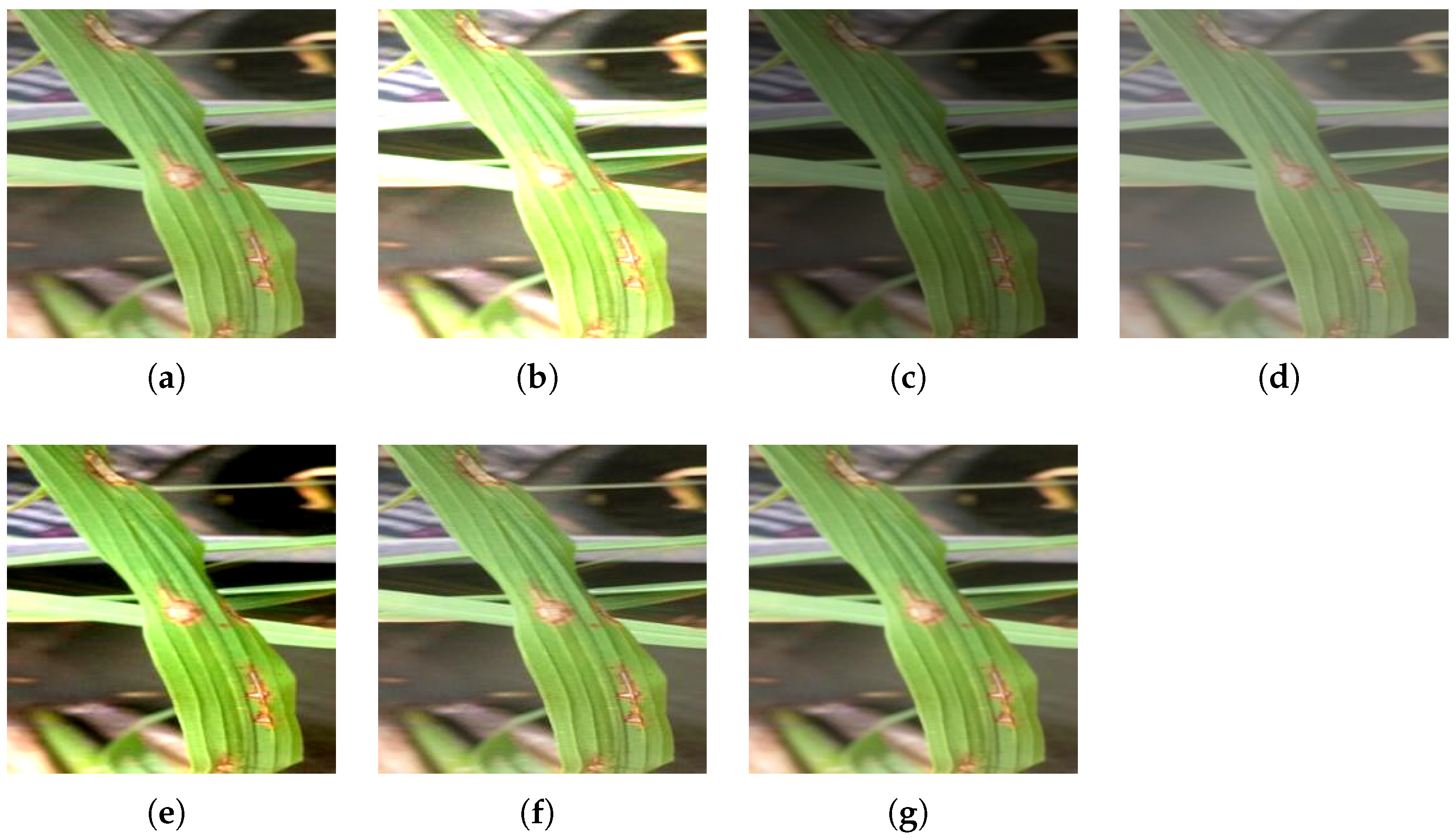 Symmetry 13 00511 g004