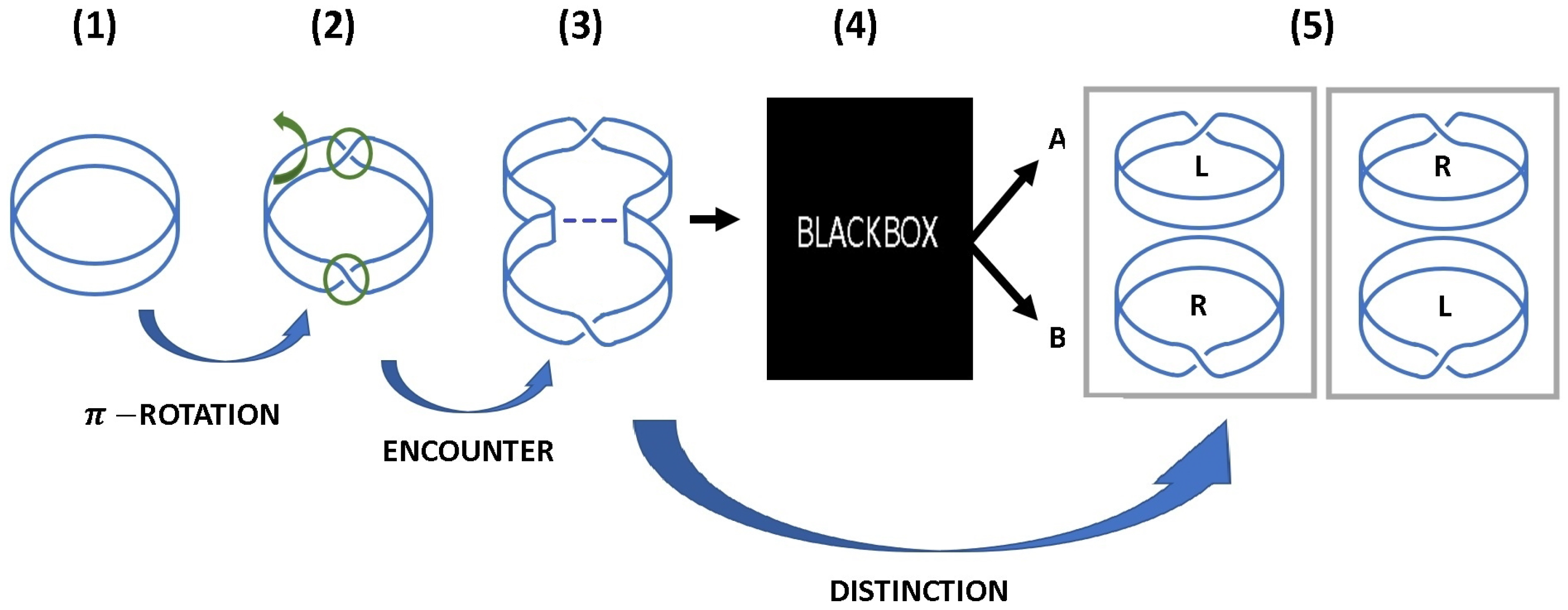 Symmetry | Free Full-Text | The Topological Origin of Quantum