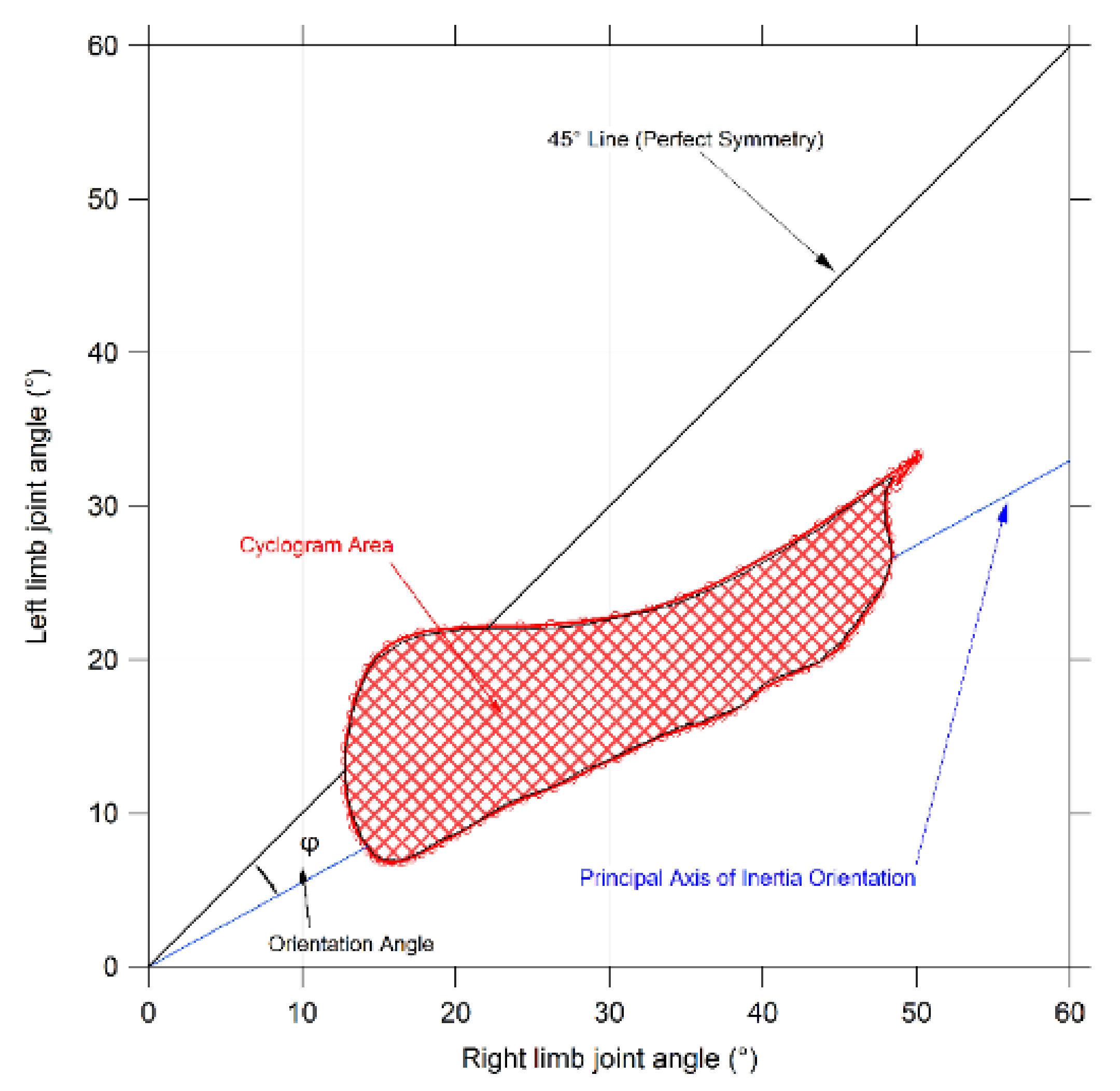 anthropometrics graphical analysis anthropometrics graphical analysis