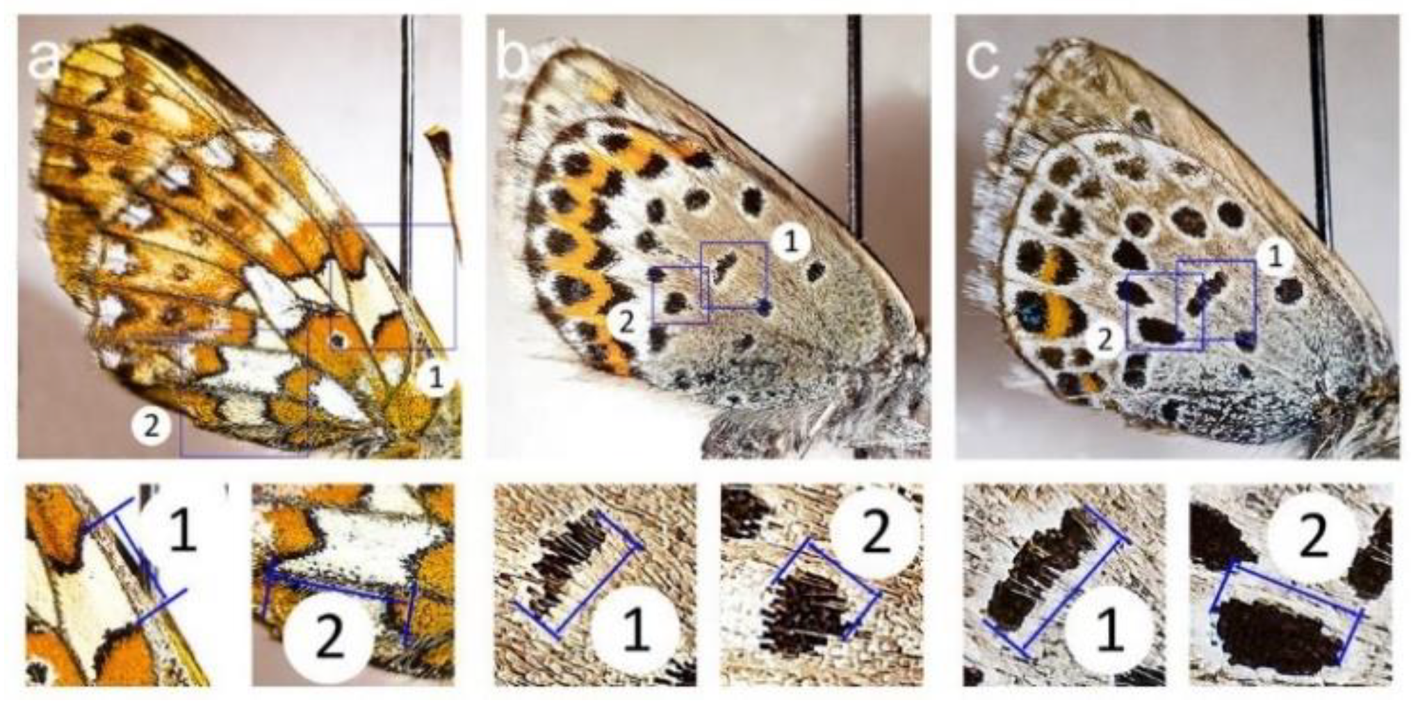 Symmetry 13 00626 g002