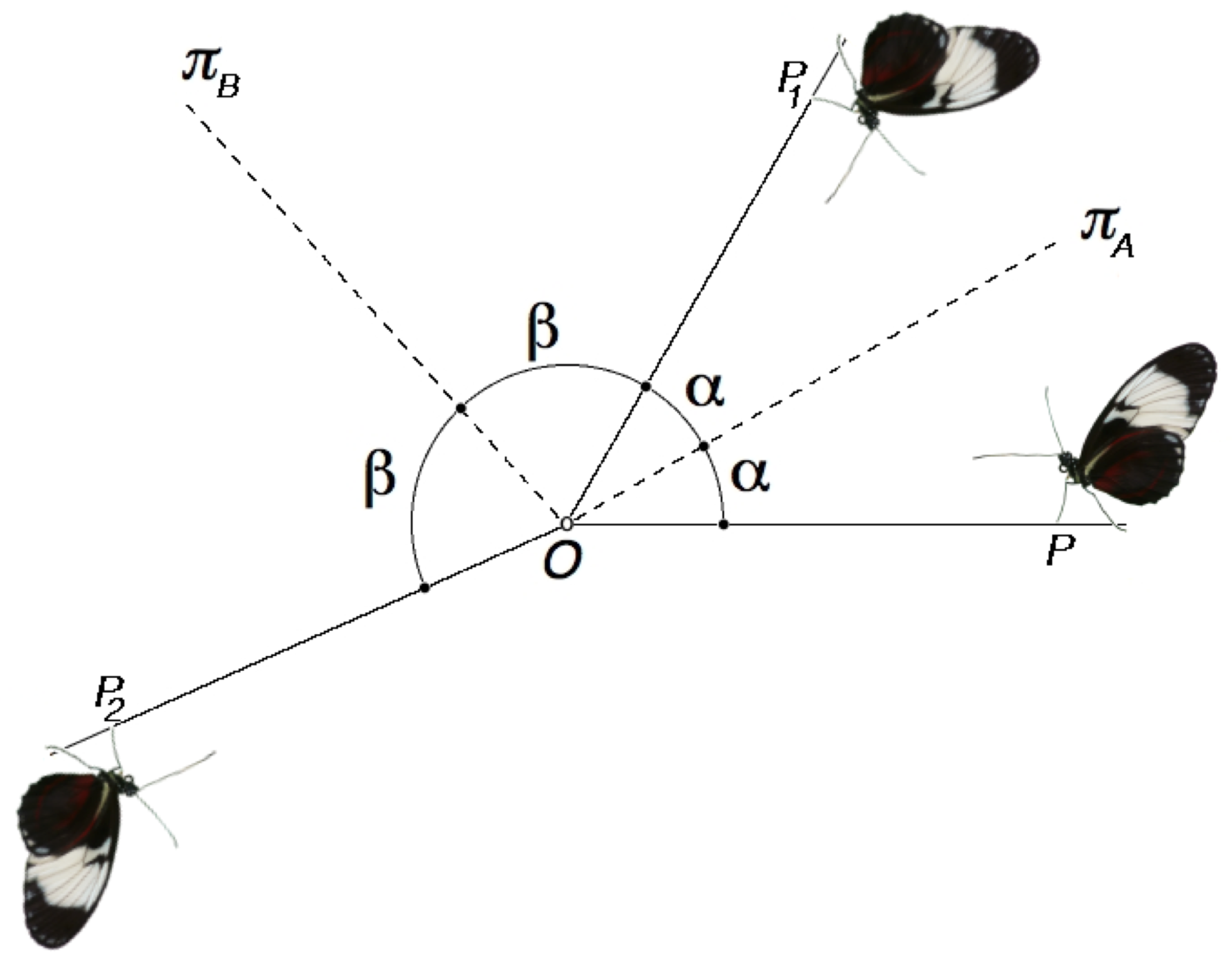 Symmetry 13 00659 g001