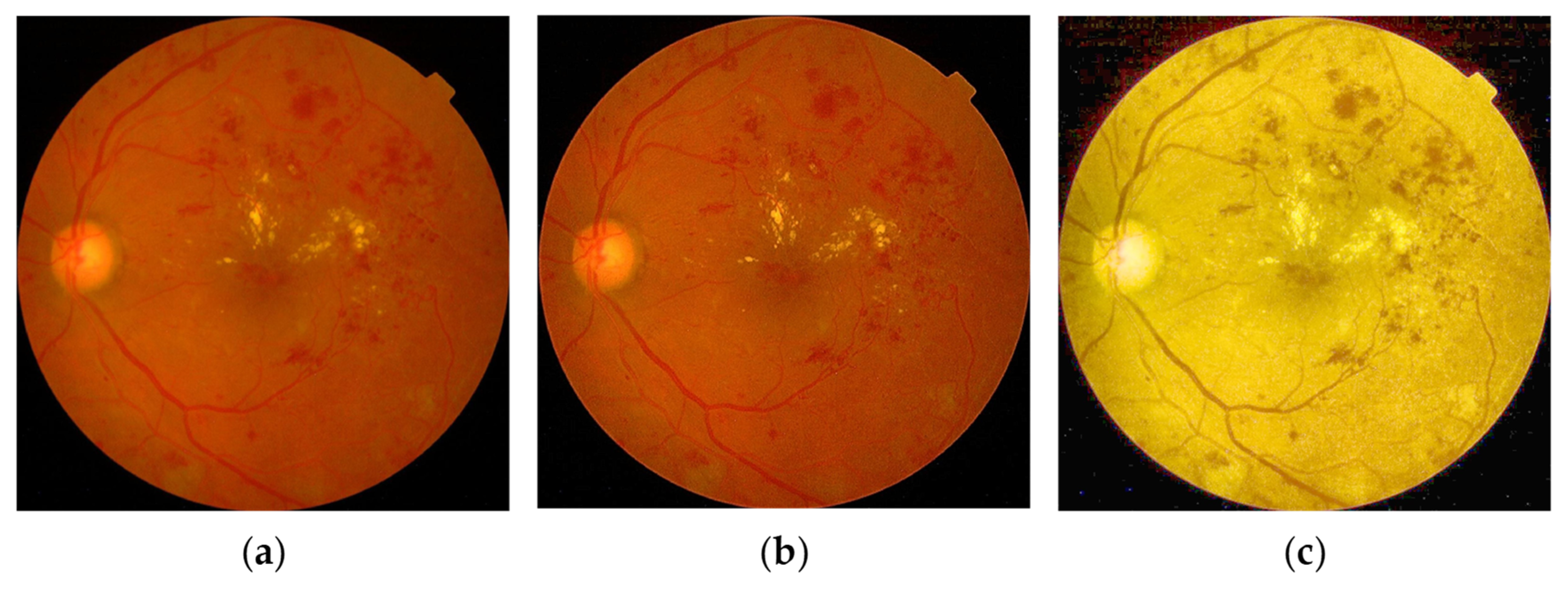 Symmetry 13 00670 g004 Symmetry 13 00670 g004