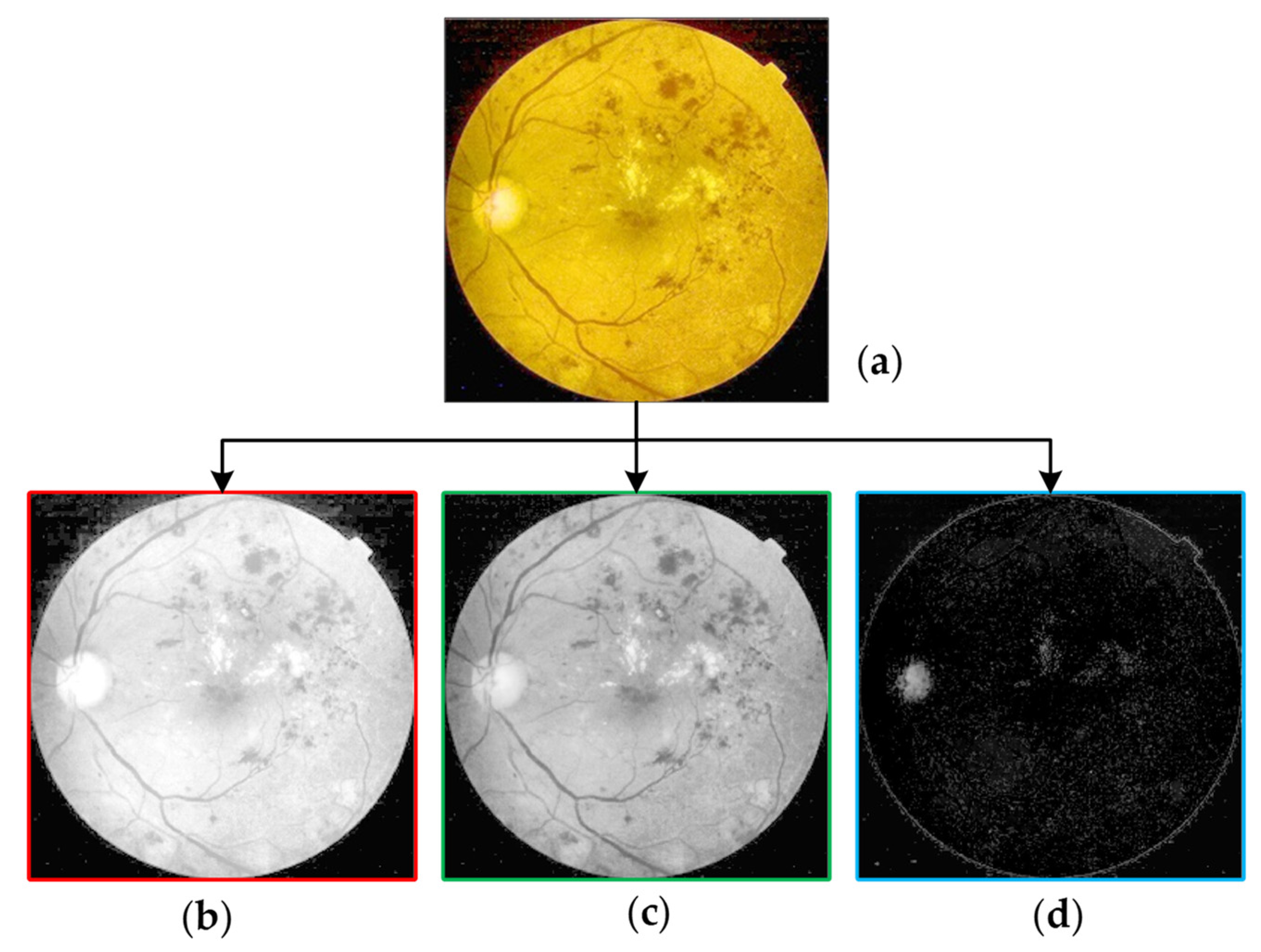 Symmetry 13 00670 g005 Symmetry 13 00670 g005