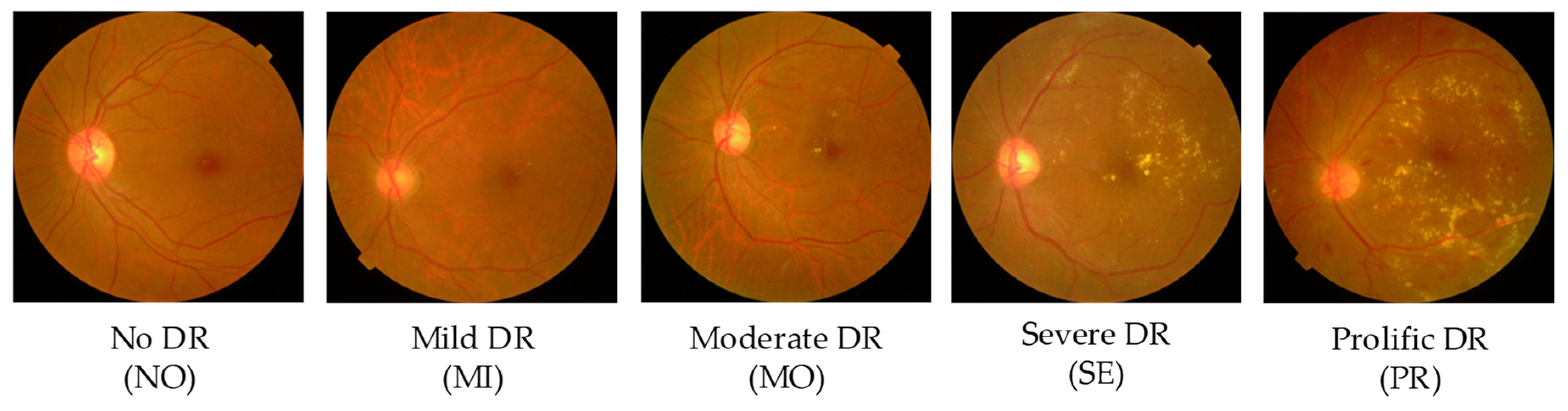 Symmetry 13 00670 g0a1 Symmetry 13 00670 g0a1
