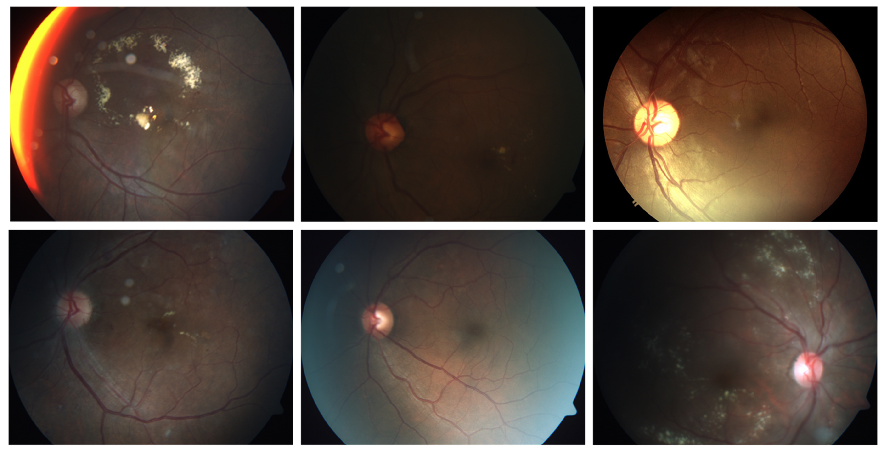 Symmetry 13 00670 g0a2 Symmetry 13 00670 g0a2