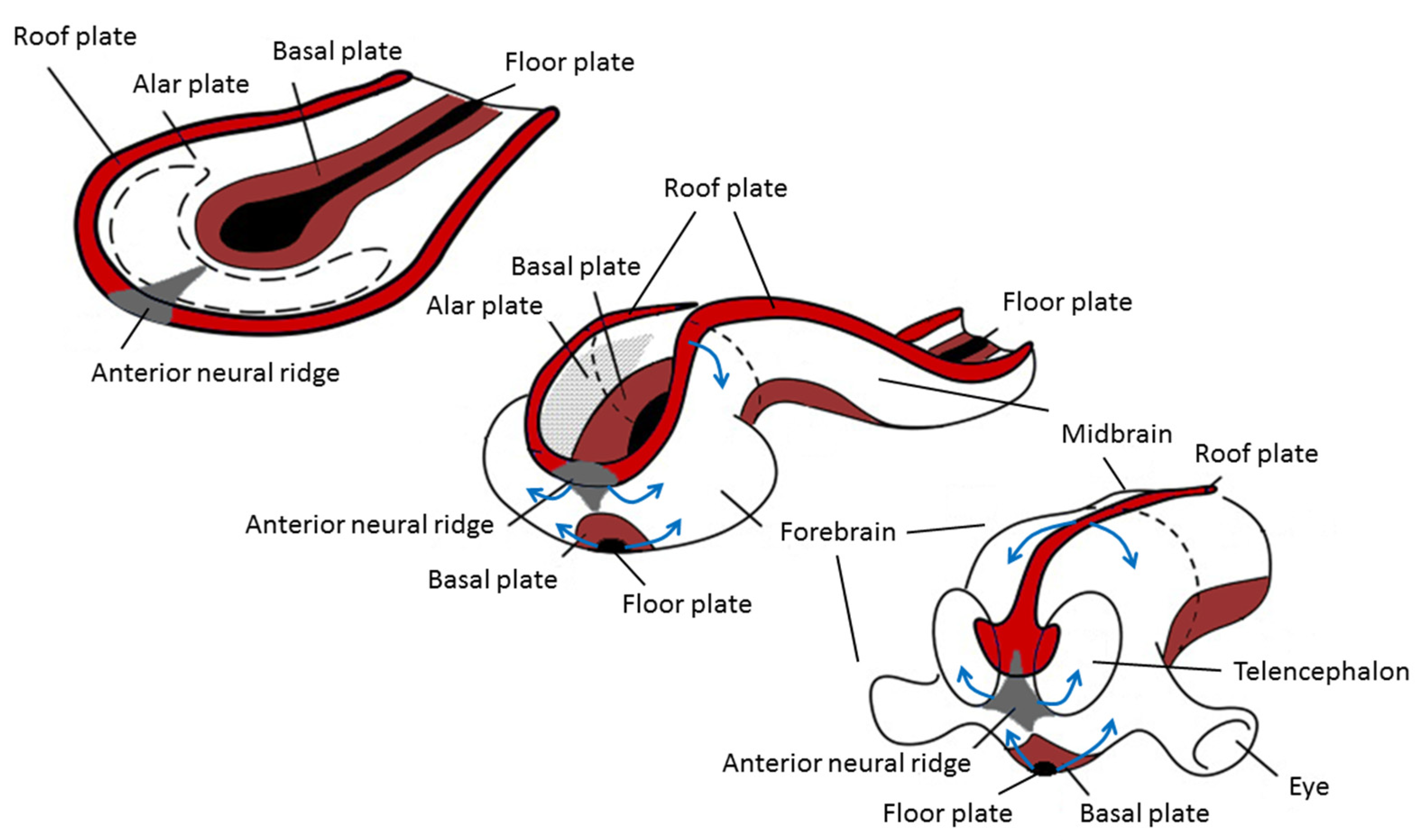 Symmetry 13 00695 g003 Symmetry 13 00695 g003