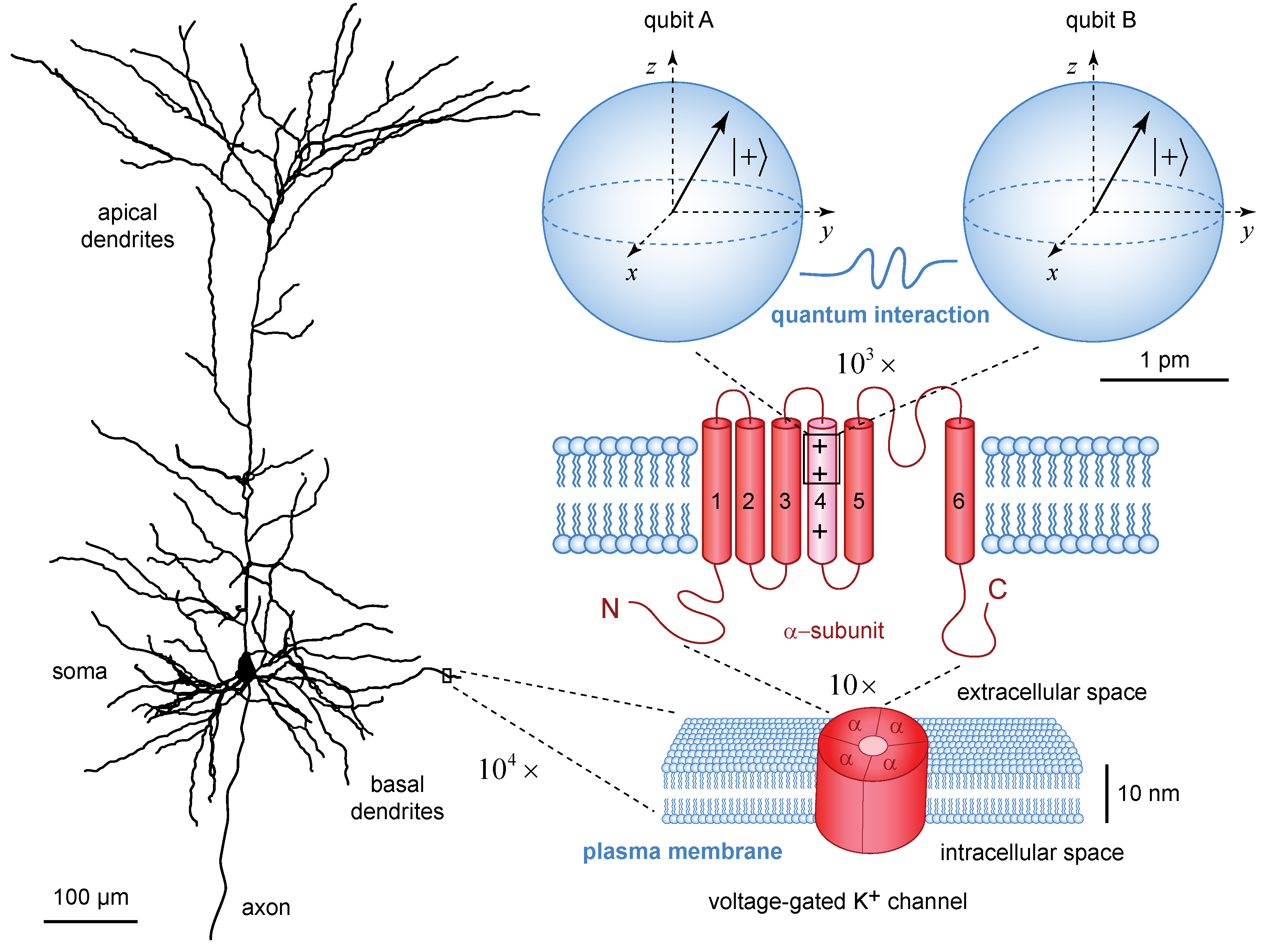 Symmetry 13 00773 g001 Symmetry 13 00773 g001