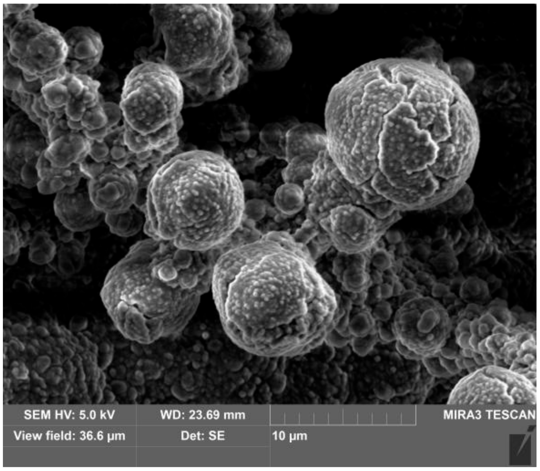 Symmetry 13 00796 g004