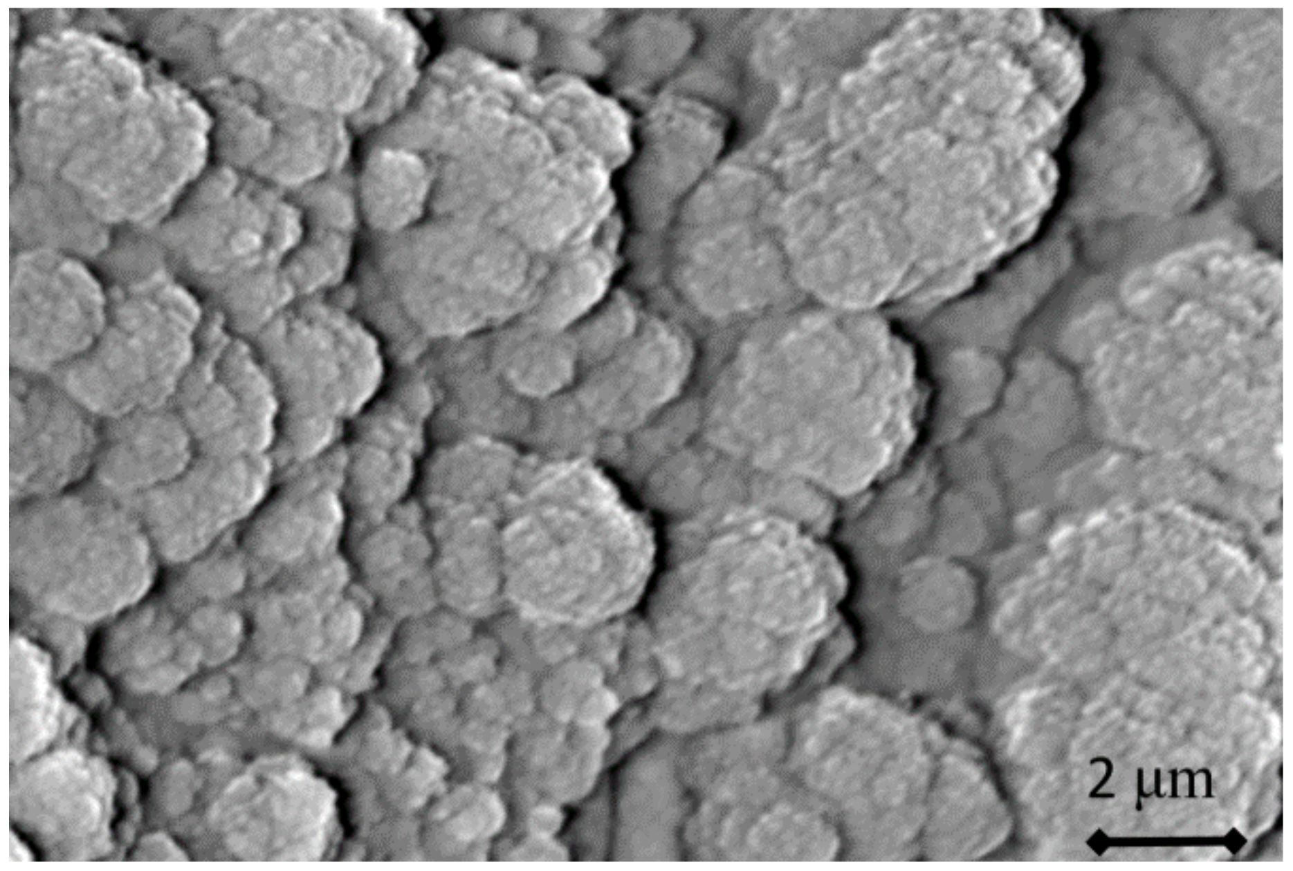 Symmetry 13 00796 g006