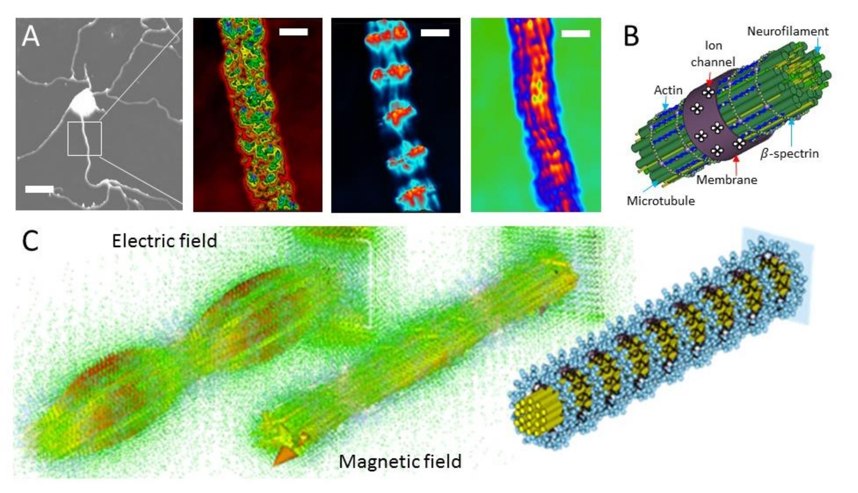 Symmetry 13 00821 g002