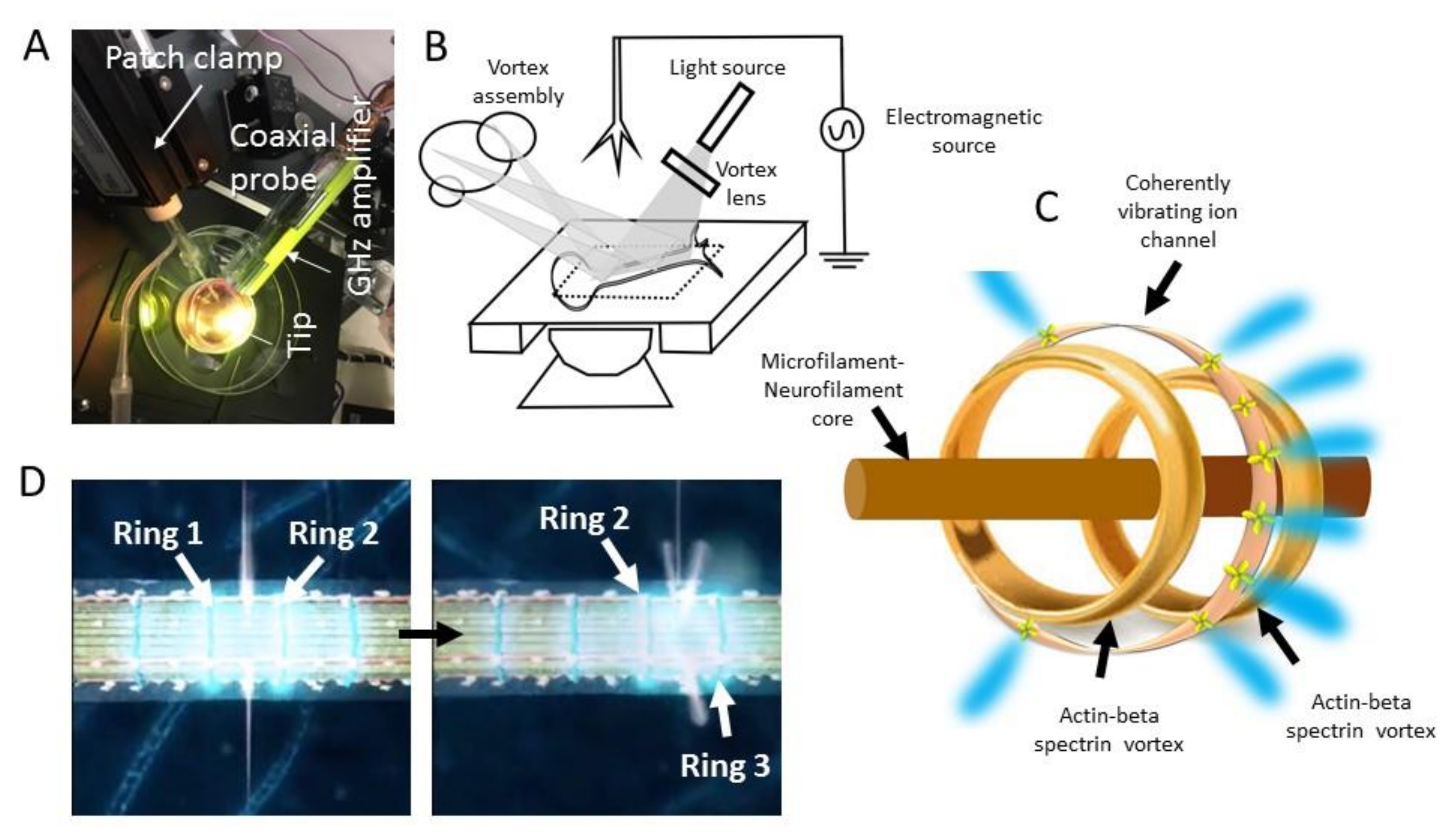 Symmetry 13 00821 g003