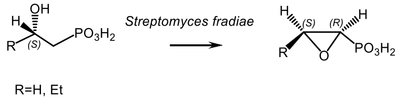Symmetry 13 00889 g044