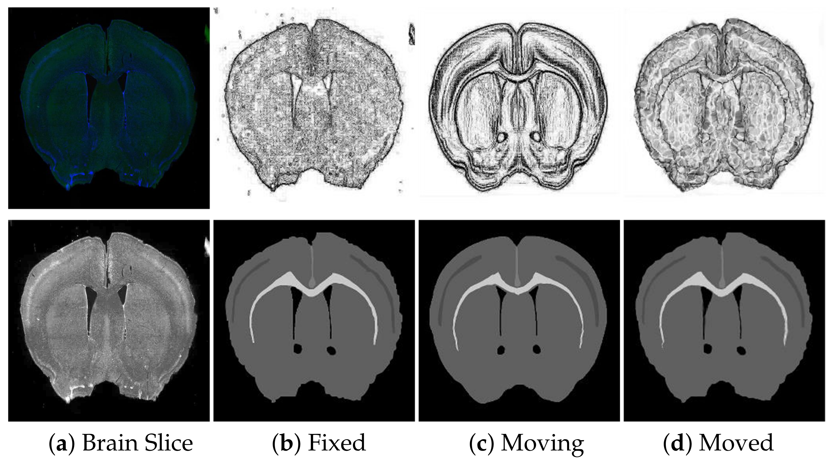 Symmetry 13 00929 g010
