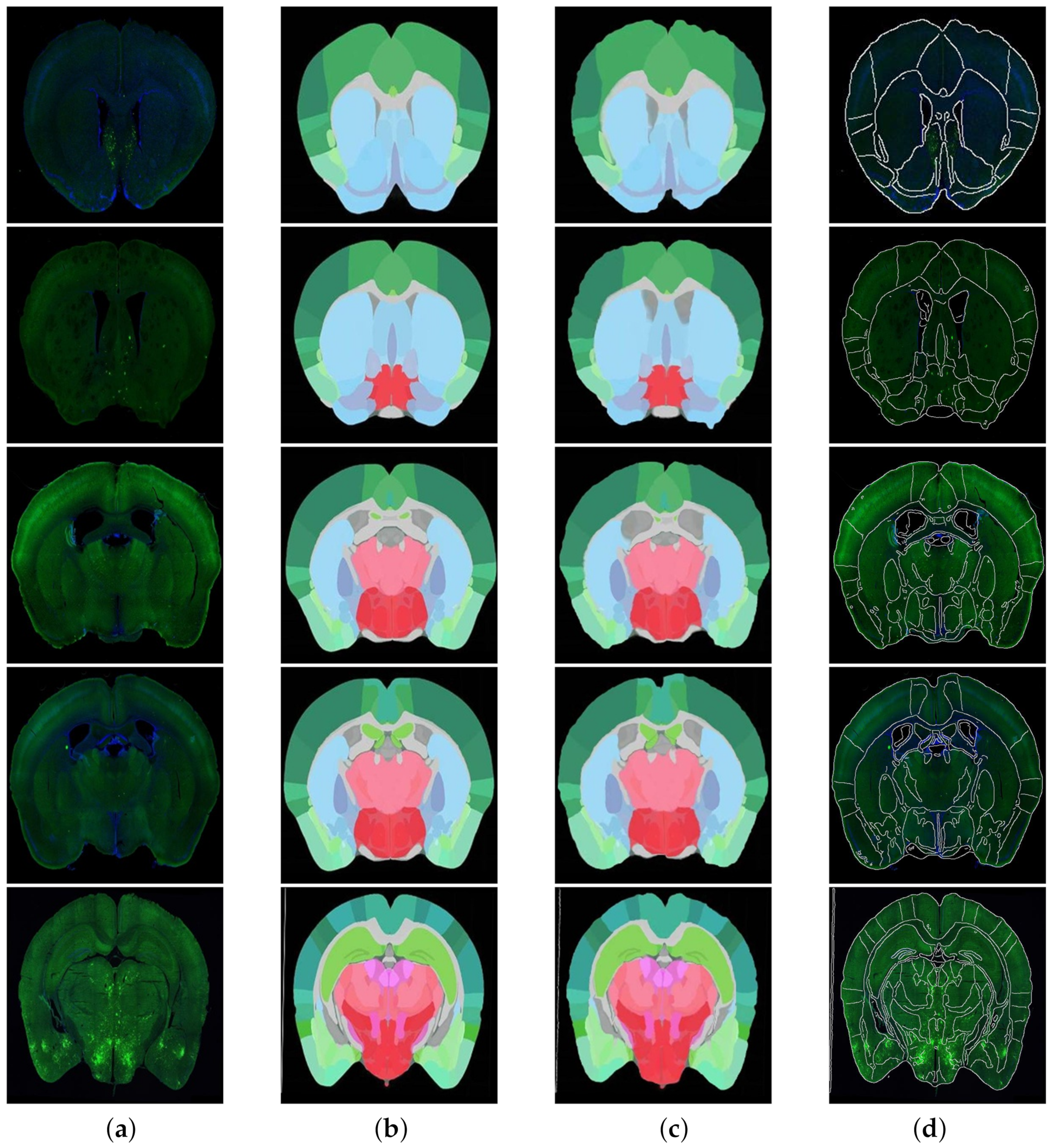 Symmetry 13 00929 g012